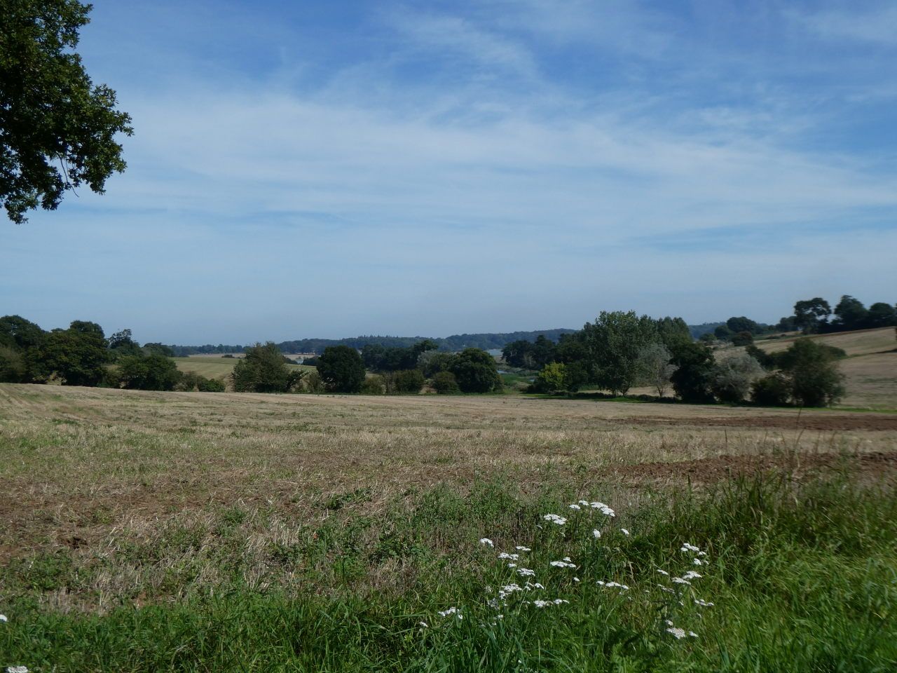 bei Waldringsfield - Tal des Flusses Deben