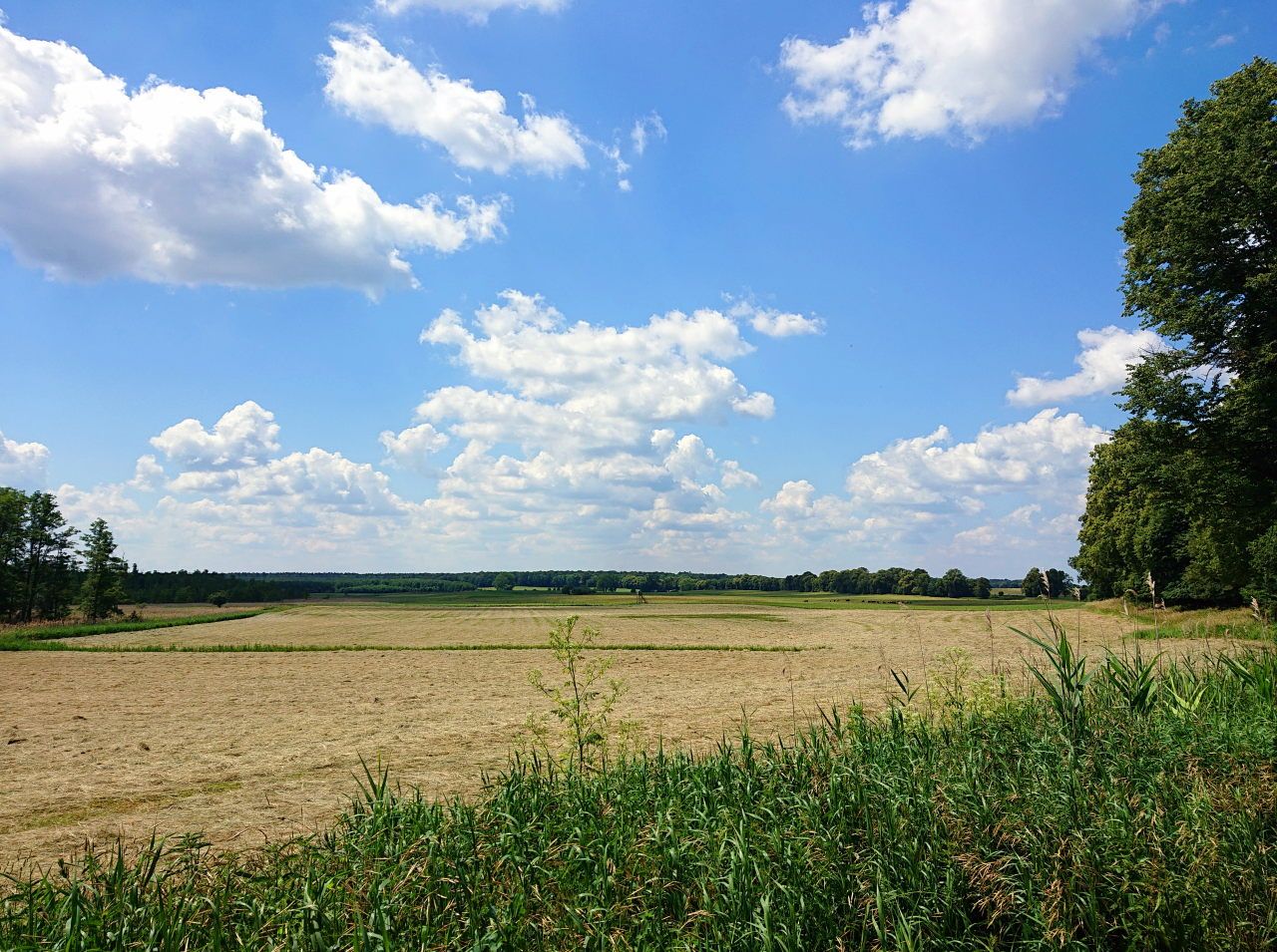 Welseniederung bei Parlow