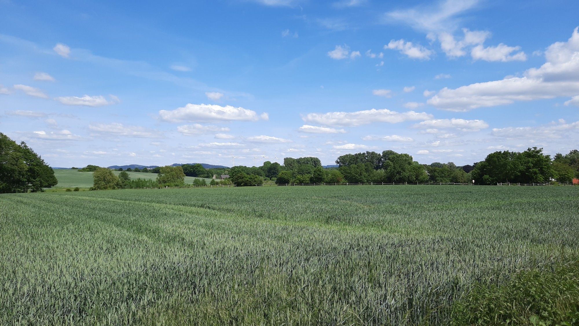 Müssen