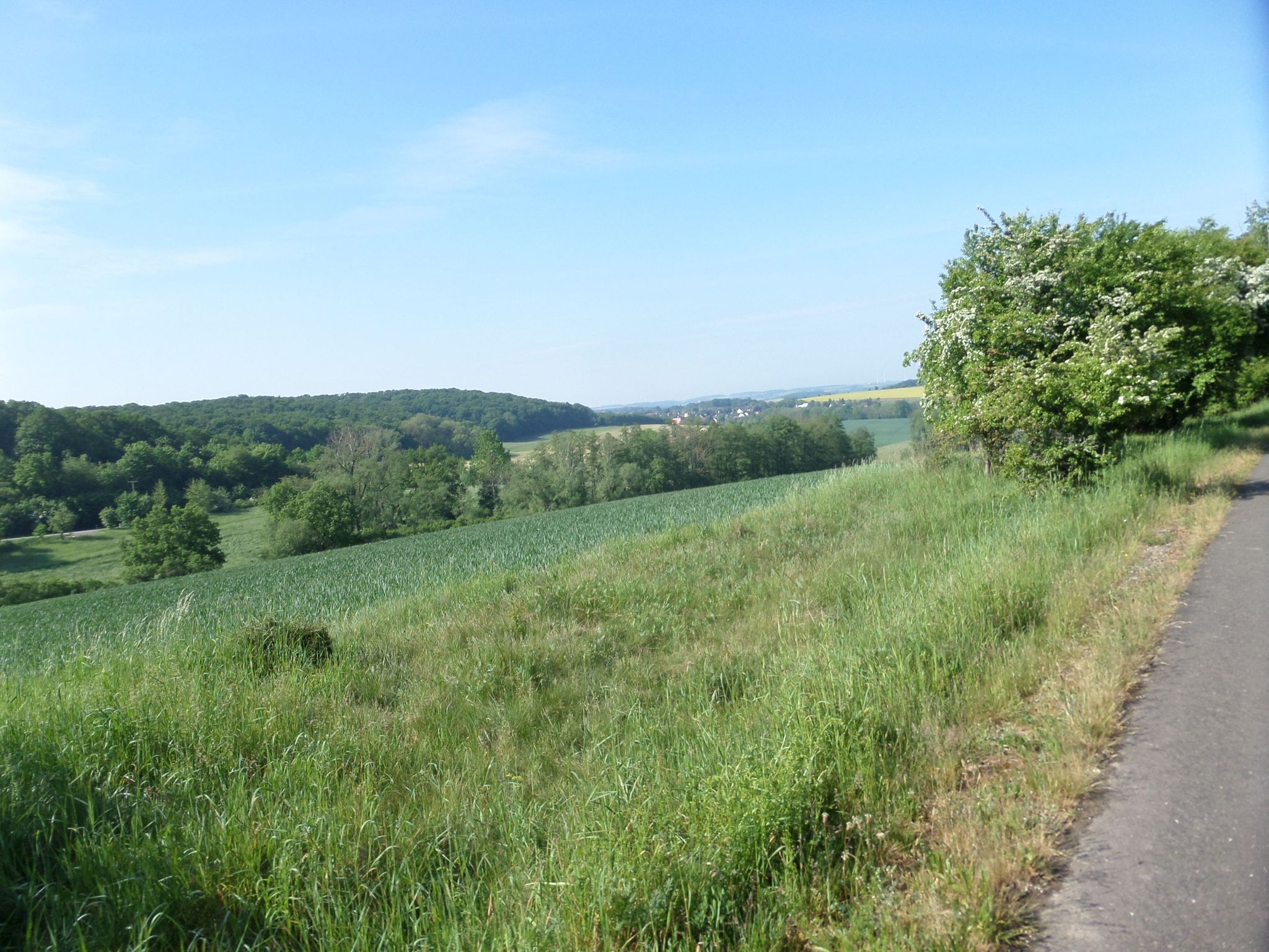 Zuckerbahnradweg Richtung Utenbach