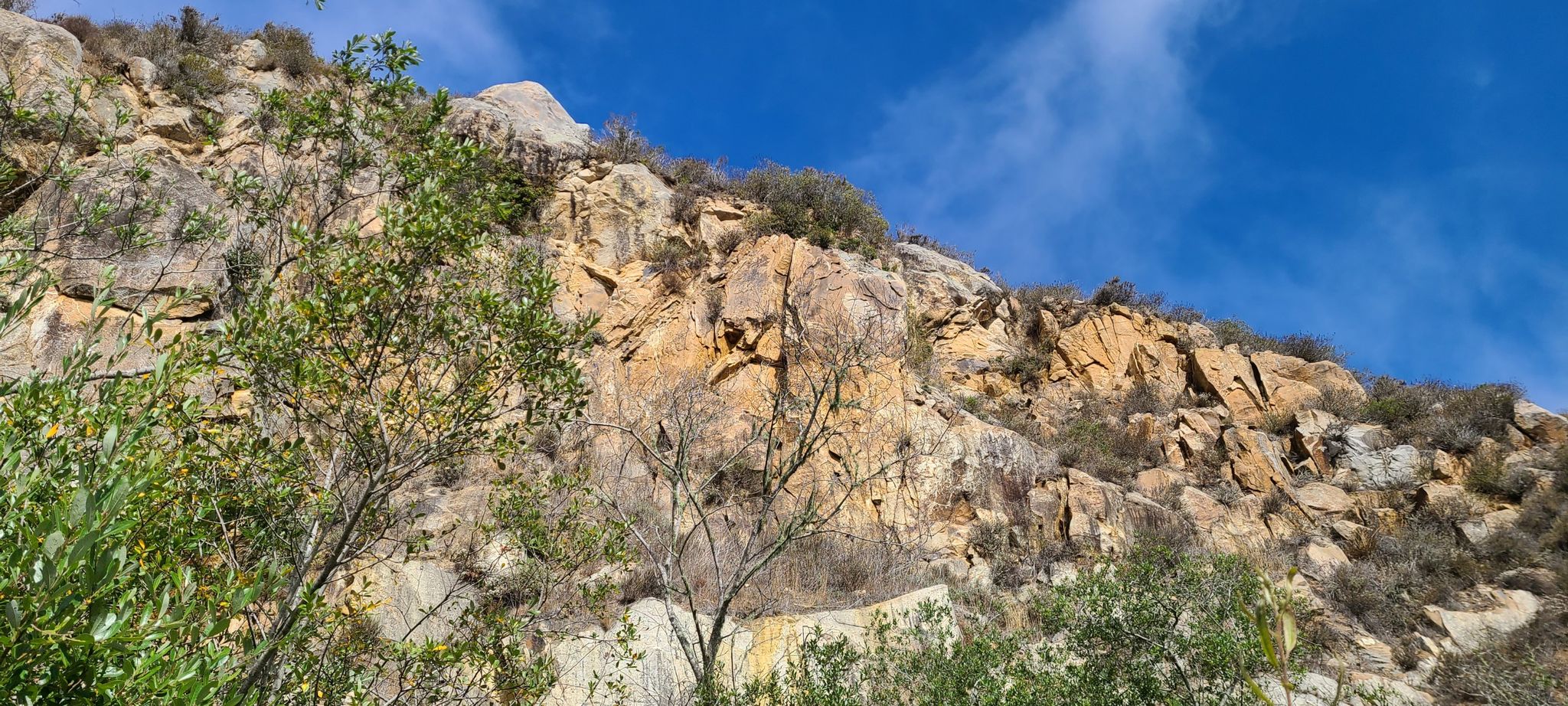 Steep, rugged rock face with sparse vegetation under a bright blue sky. - Black Hill loop from Morro Bay