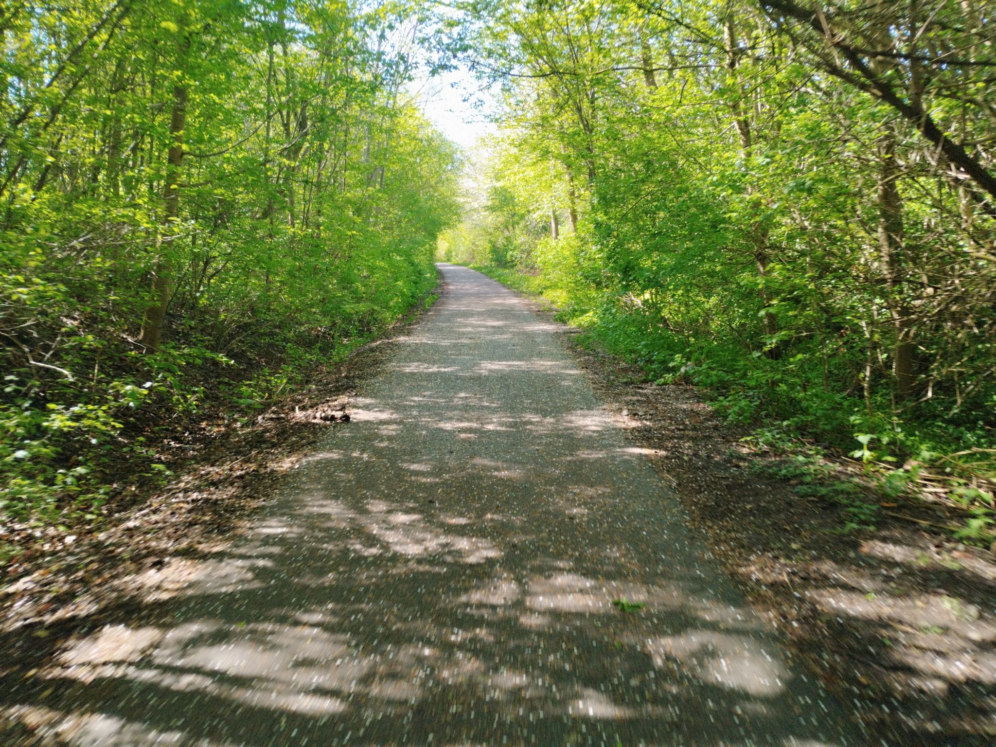 schöner Bahntrassenradweg 