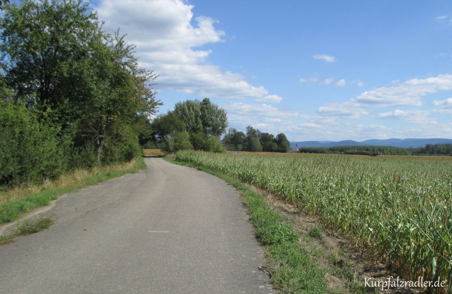 VR Rheinradweg