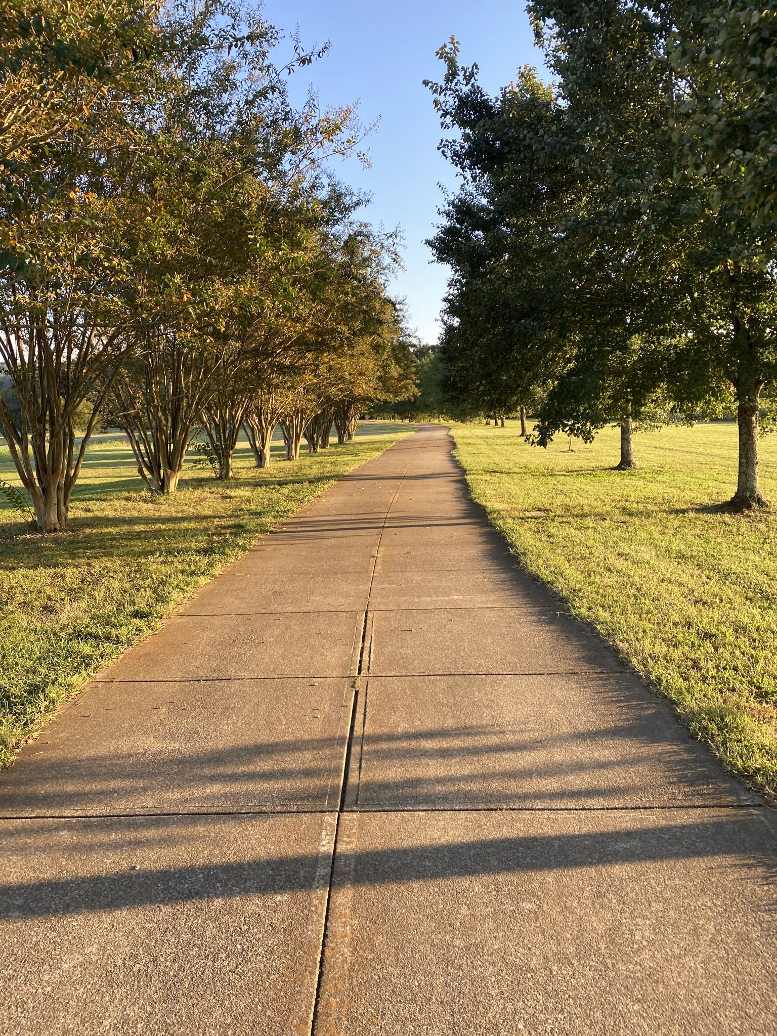 Long paved path lined with trees under golden hour light. - Etowah River Walk
