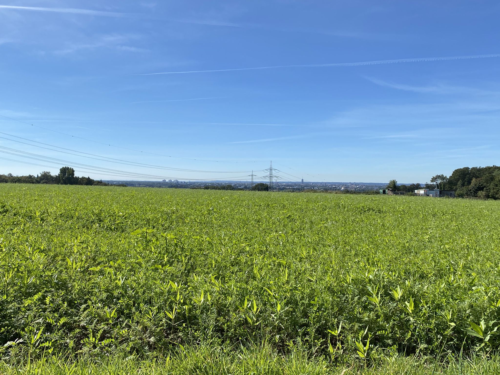 ..der bayerische Himmel heut in zartem Blau...Wolken gibt's keine..☀️😎