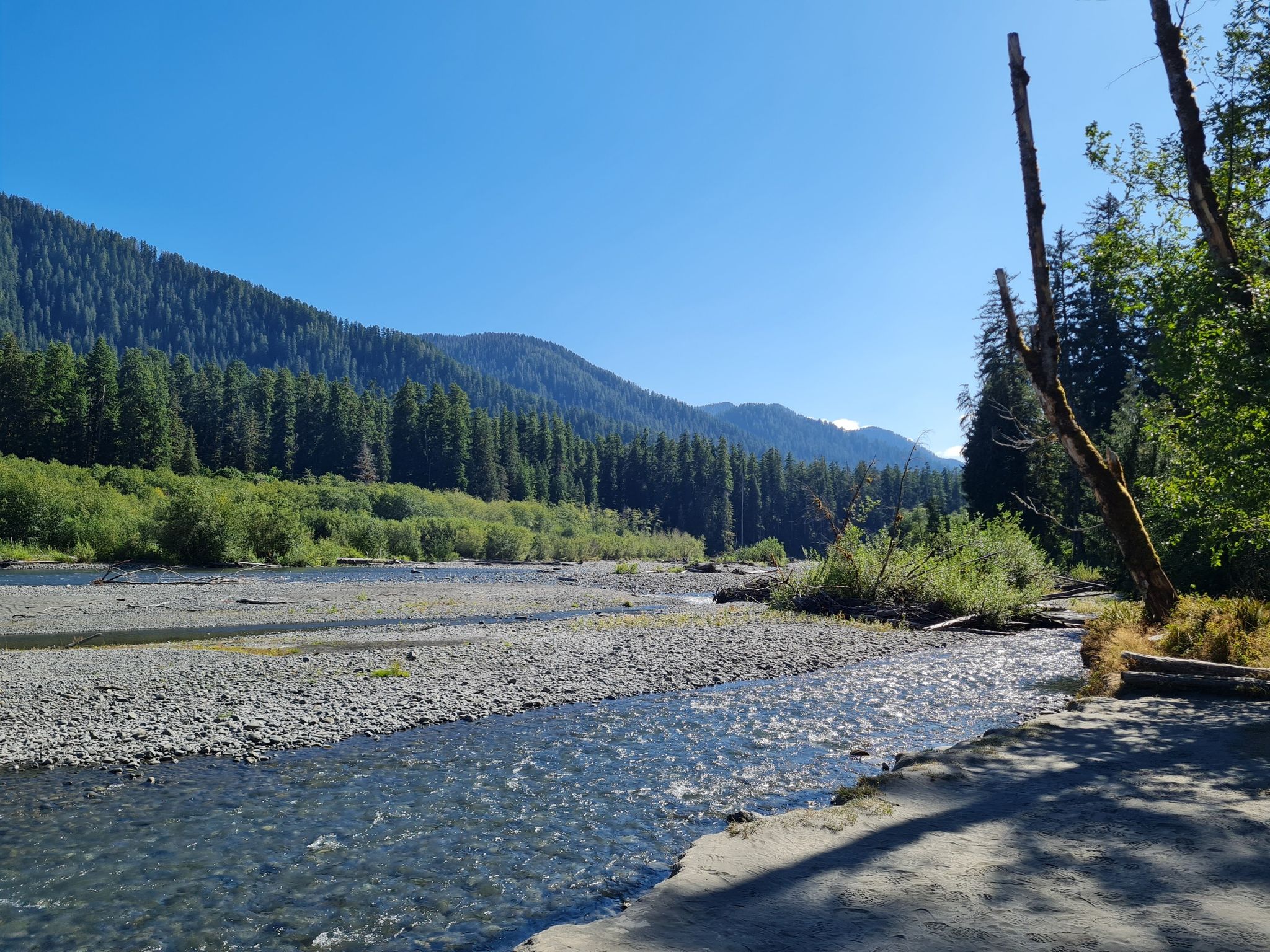 A wide, rocky river flows through a forest with distant mountains. - Hall of Mosses and Spruce Nature Trail Loop