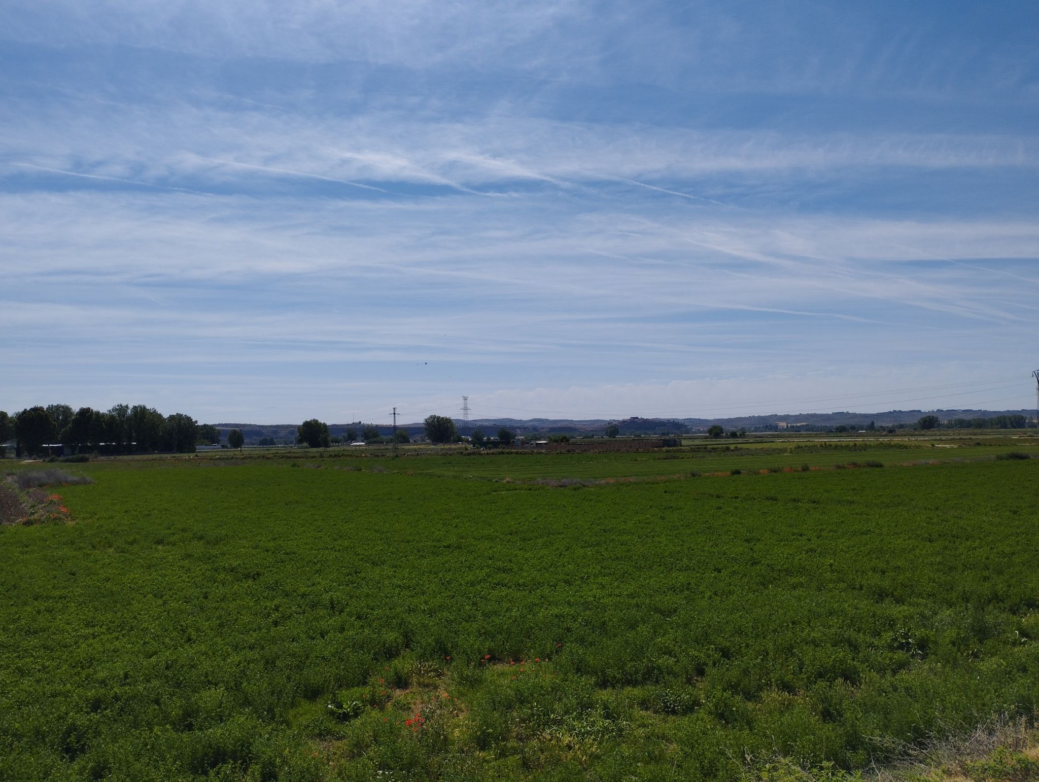 Entre Titulcia y San Martín