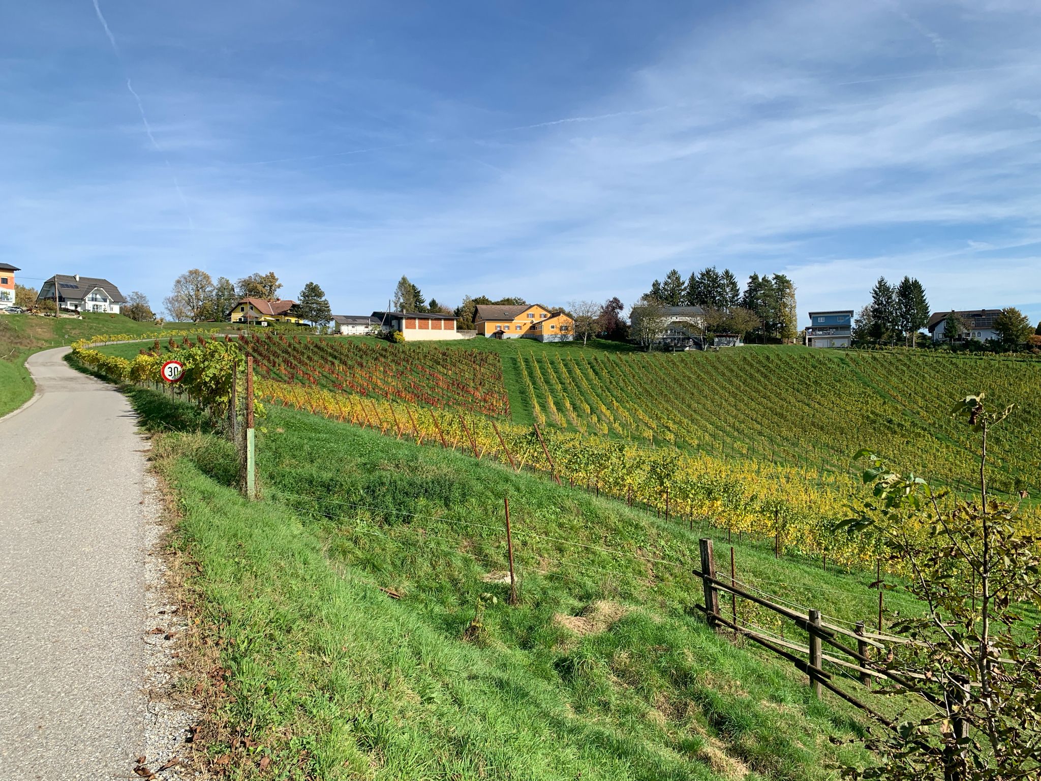 Weinberge beim Griessmichl