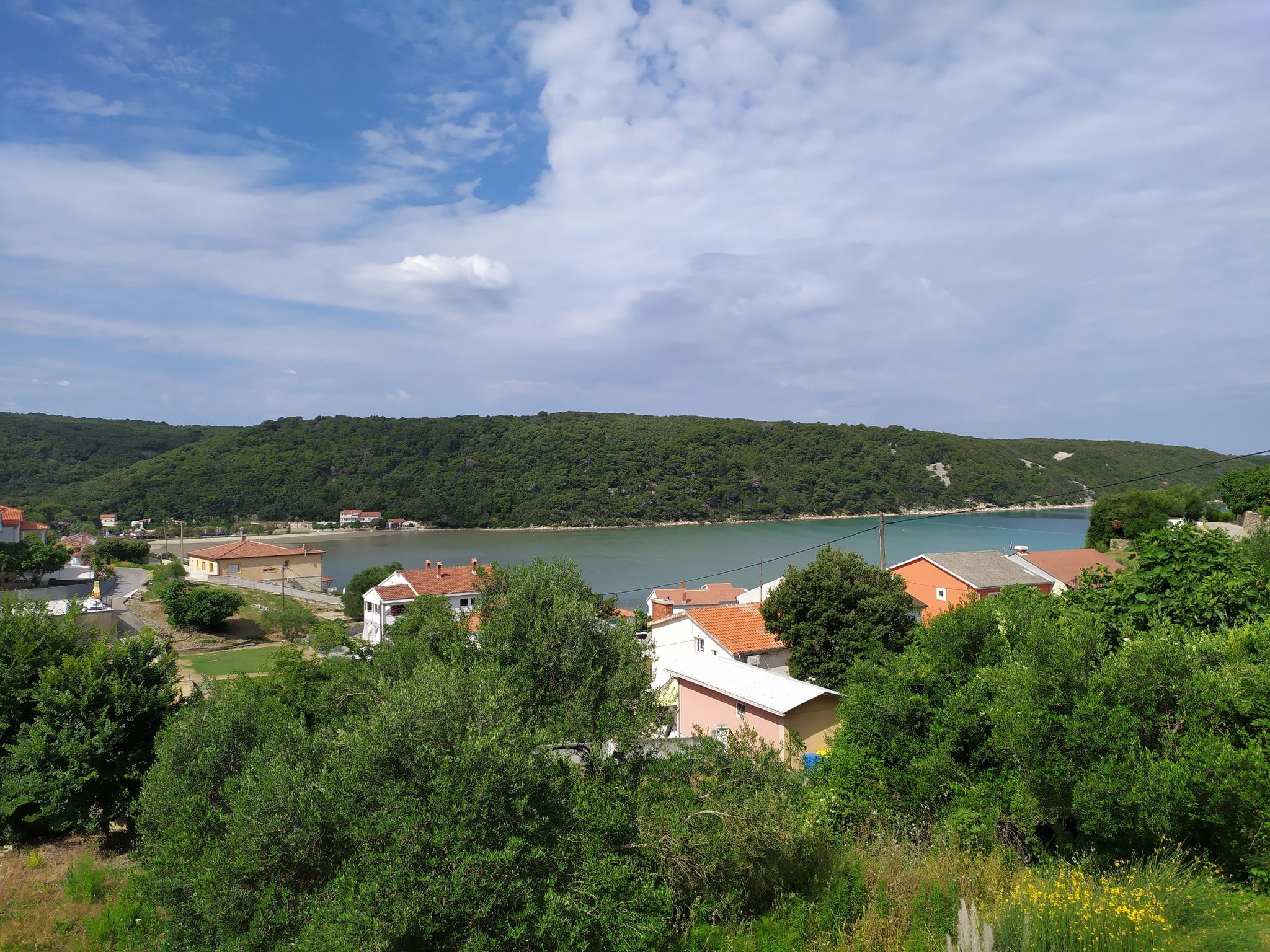 Gonar
