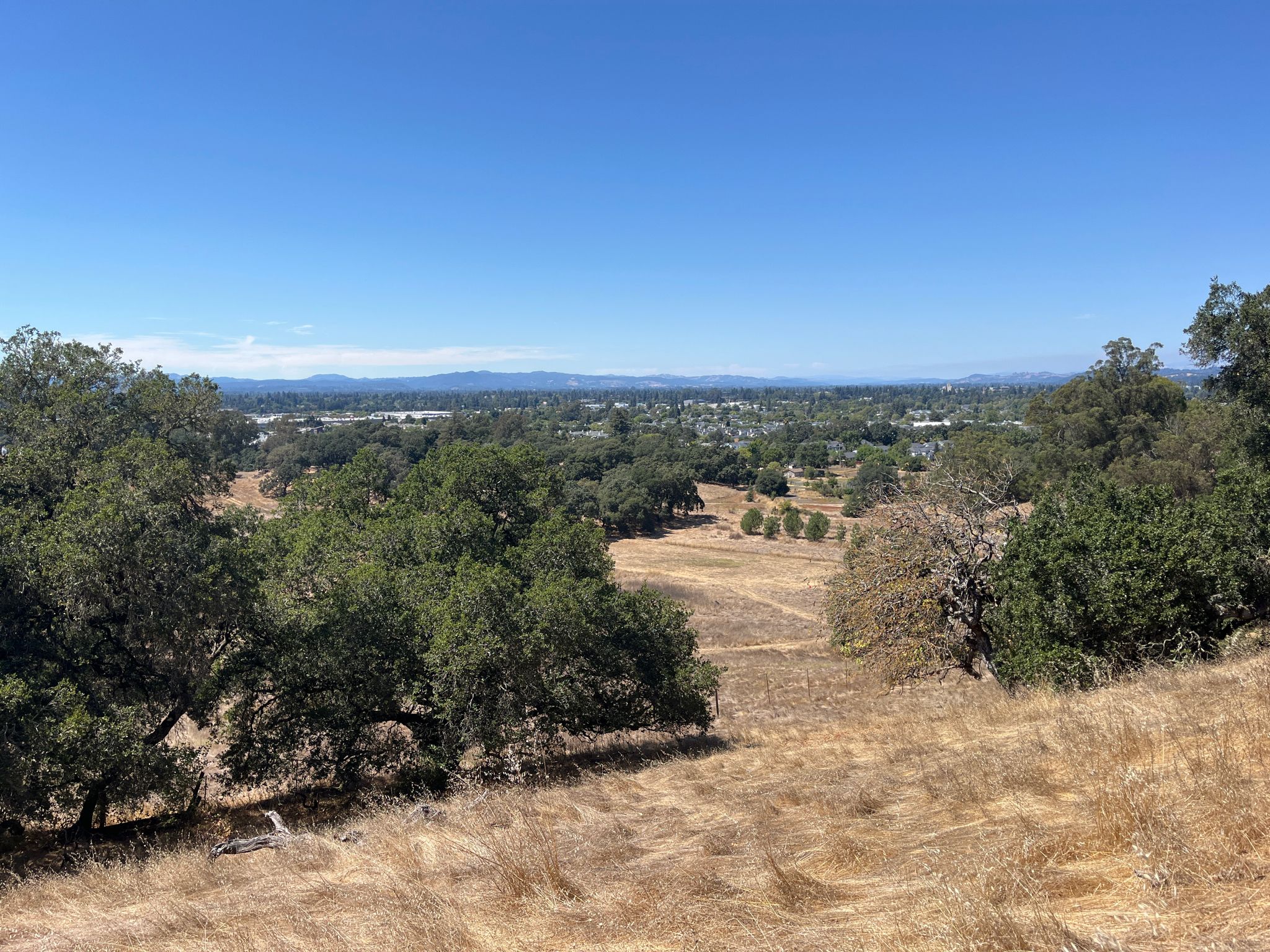 Expansive view of dry golden hills, green trees, and a distant valley under clear sky. - Taylor Mountain via Western Route