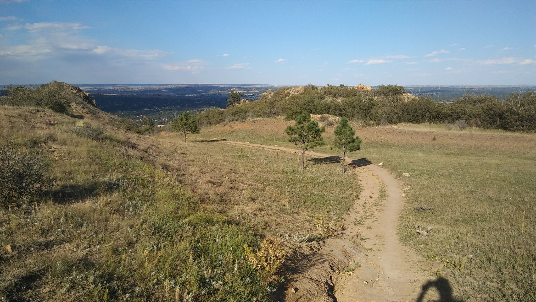 Dirt trail winding through sunny, grassy hills with sparse trees and distant views. - Red Rock Rim and Greenlee Loop