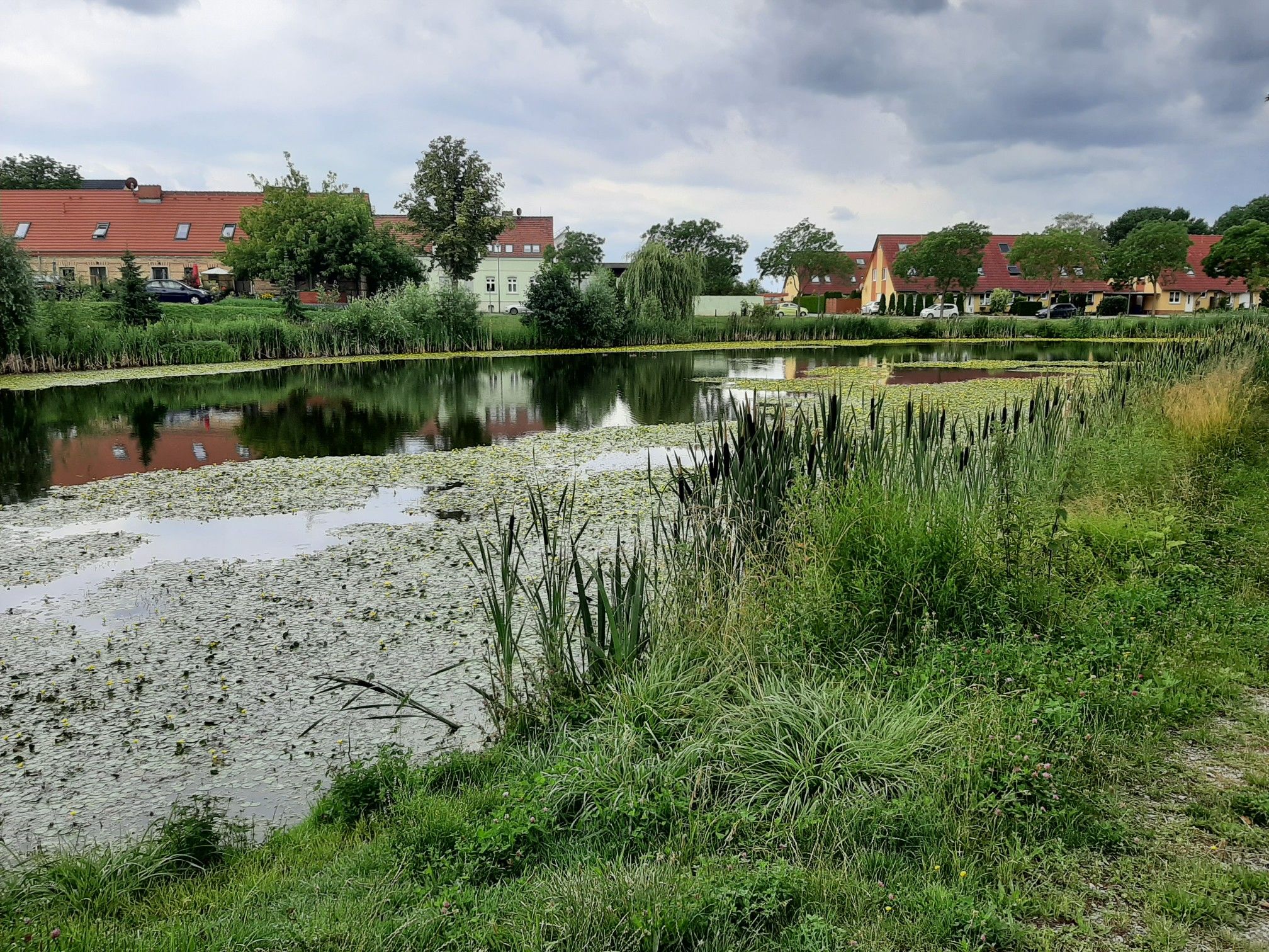 Dorfteich