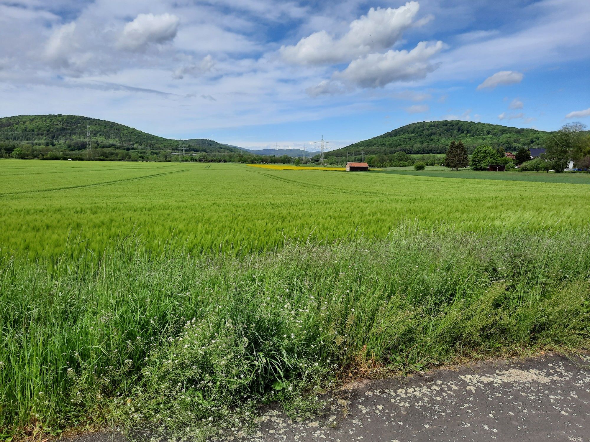 Kleinenglis 
