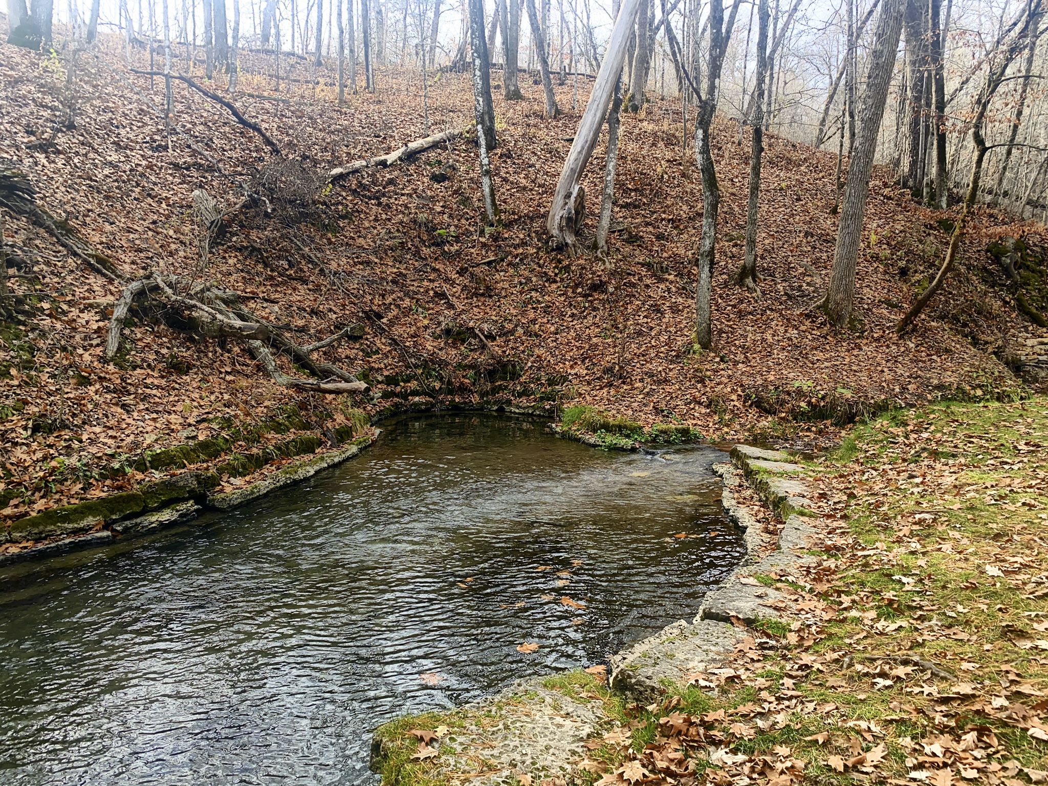 A clear stream flows through a wooded area with leaf-covered banks under an overcast sky. - Twin Springs Loop