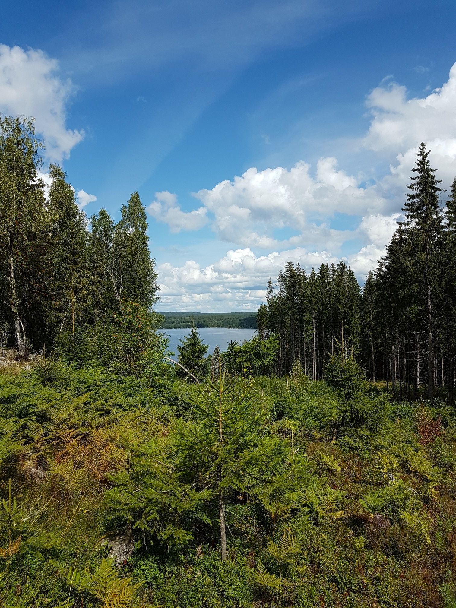 Seeblick