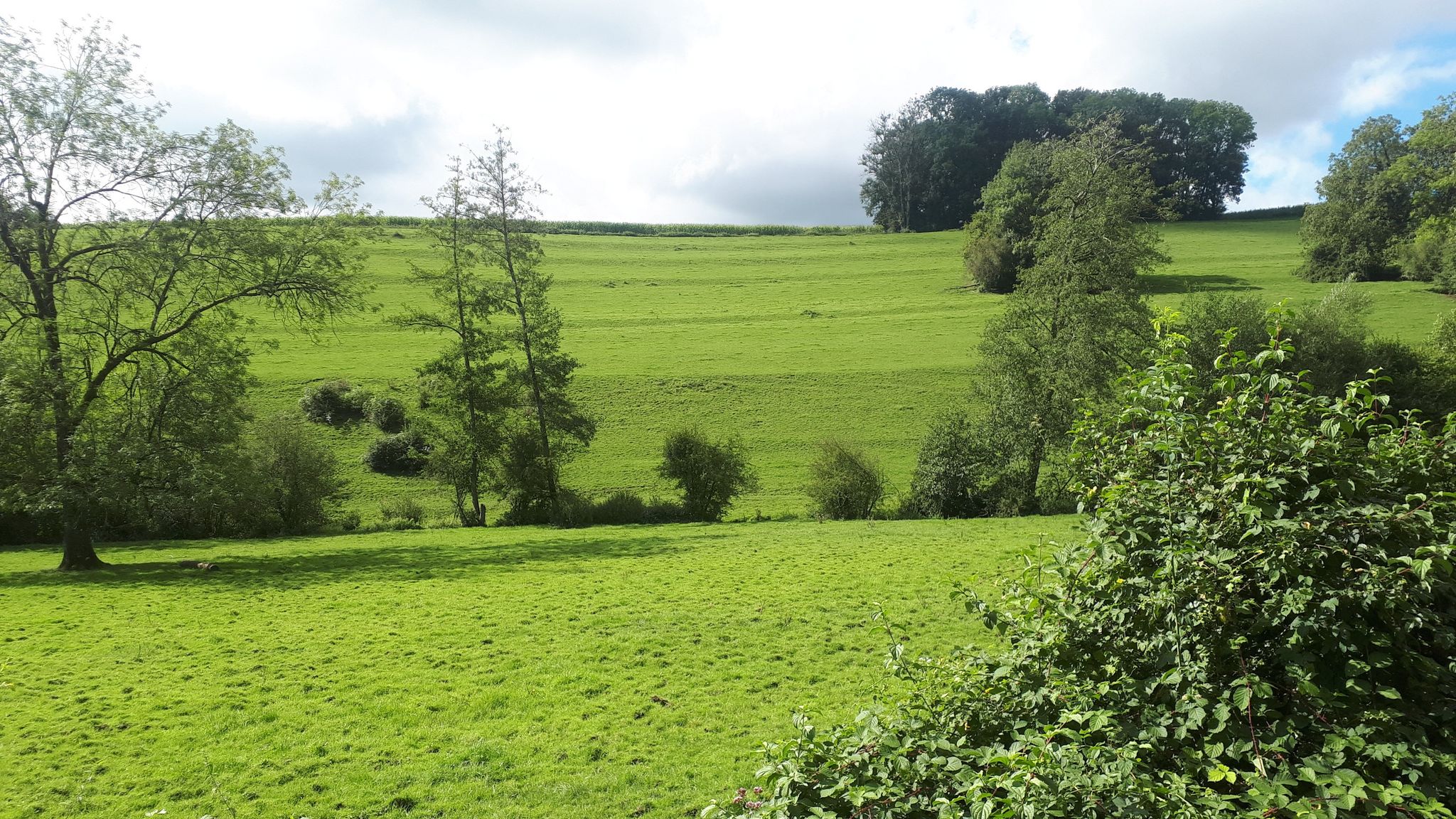 retour au moulin
