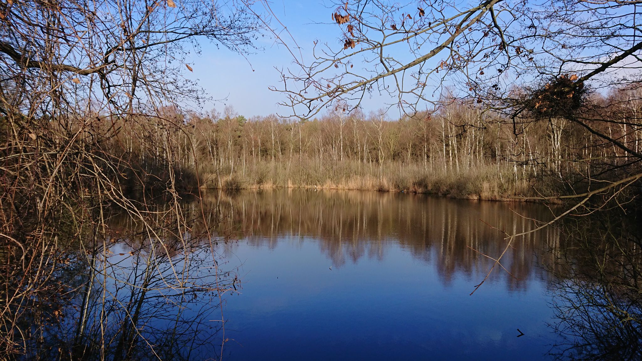 Siemser Moor