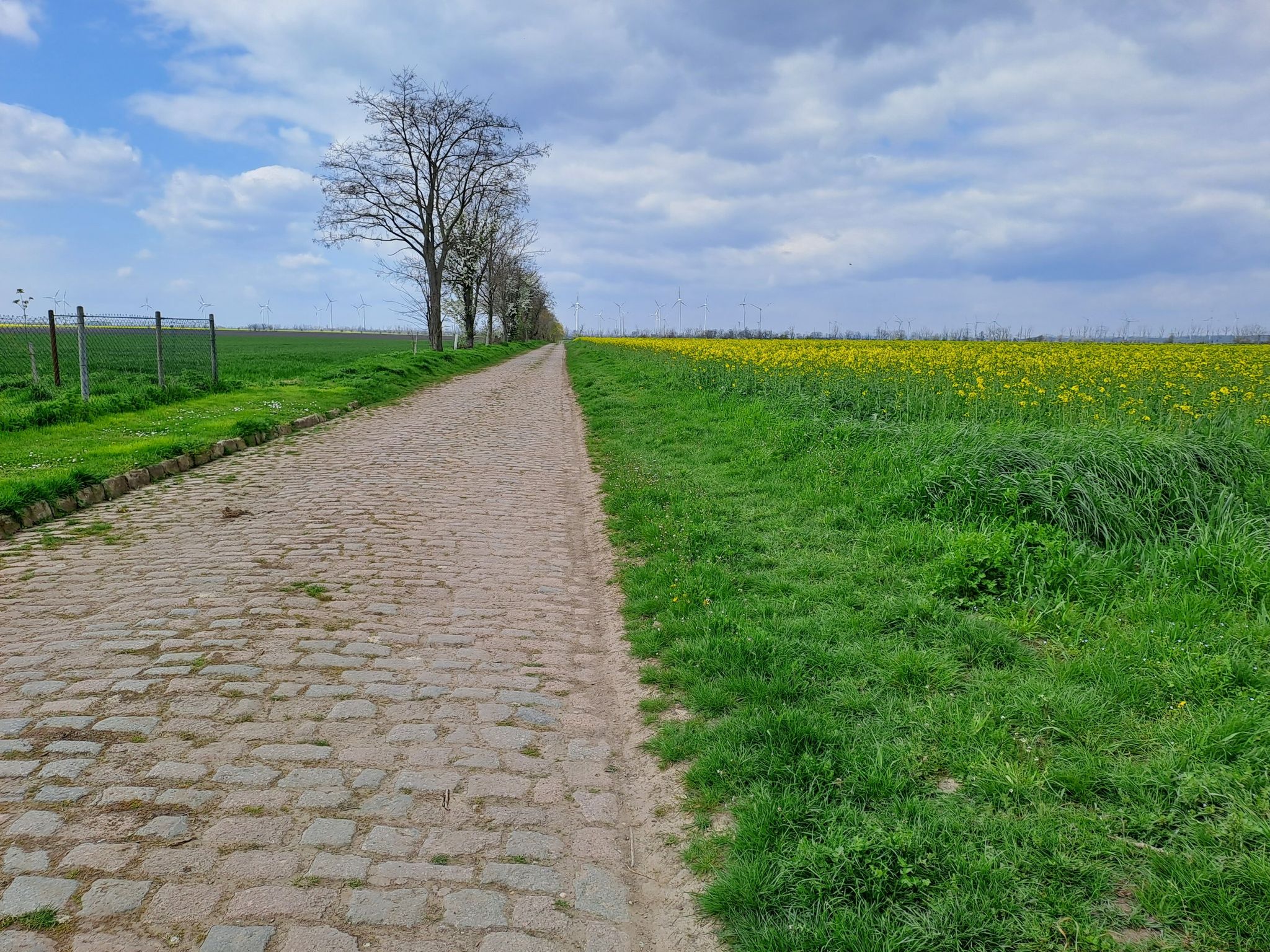 Weg nach Dornstedt 🫣