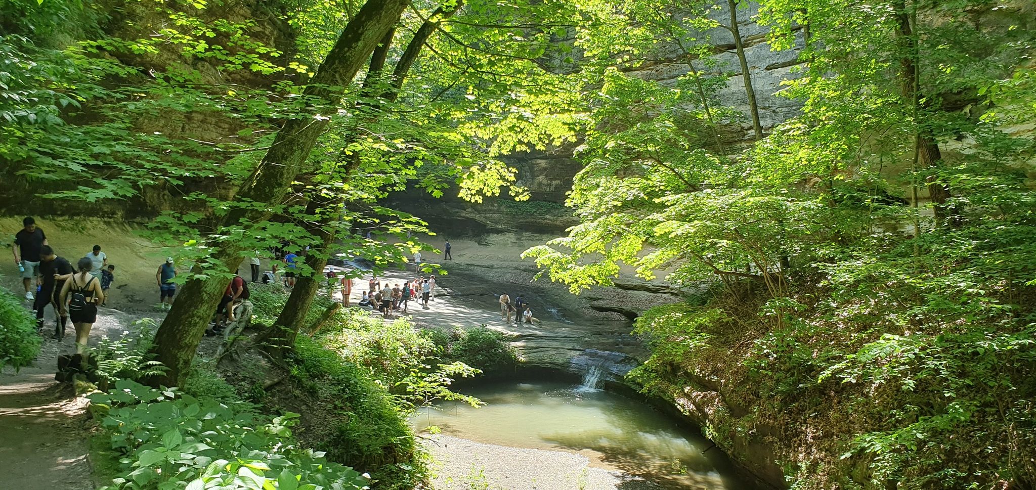 Many people exploring a lush green canyon with a stream and rock formations. - La Salle Canyon