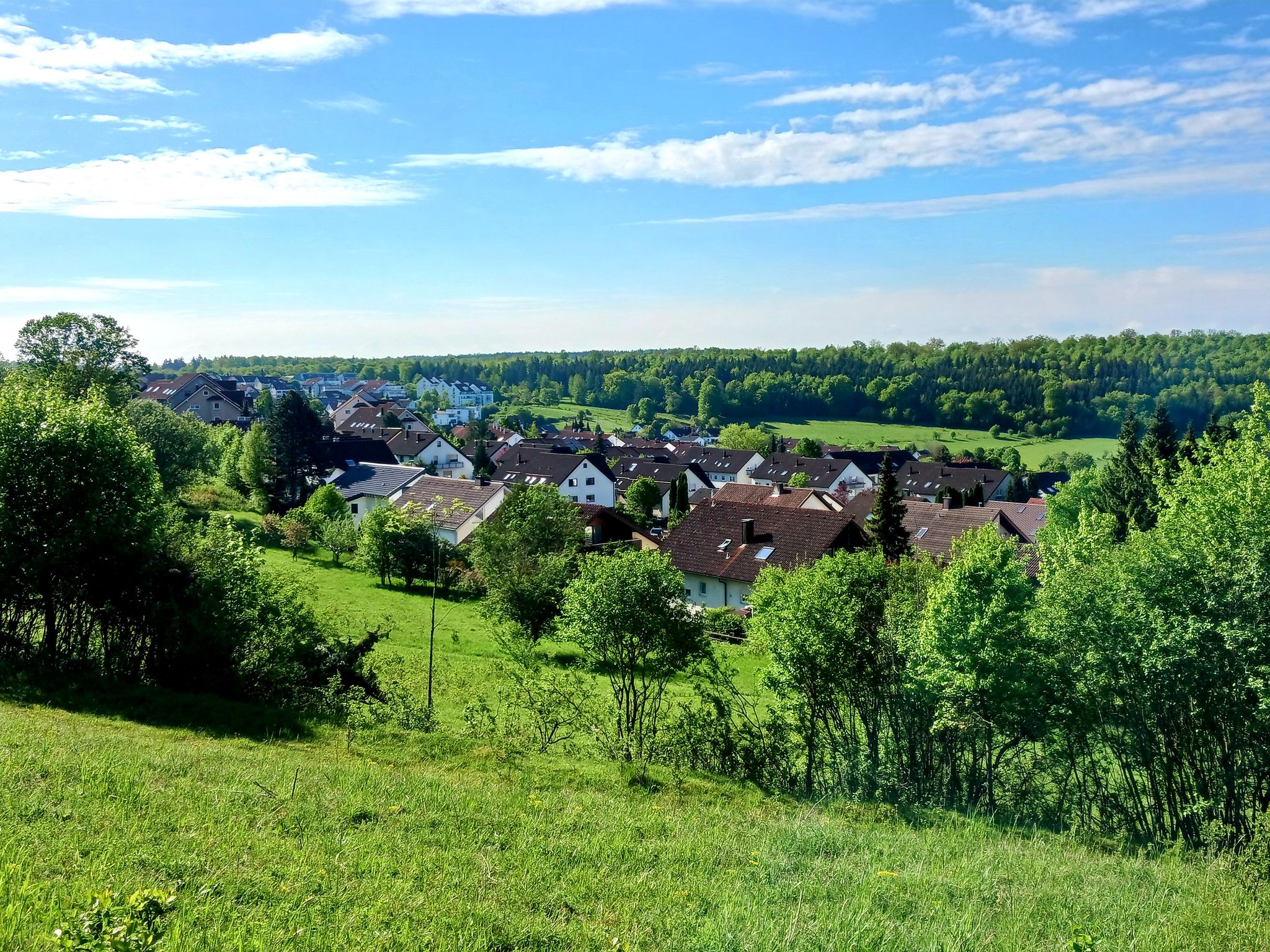 Blick aufs Osterholz