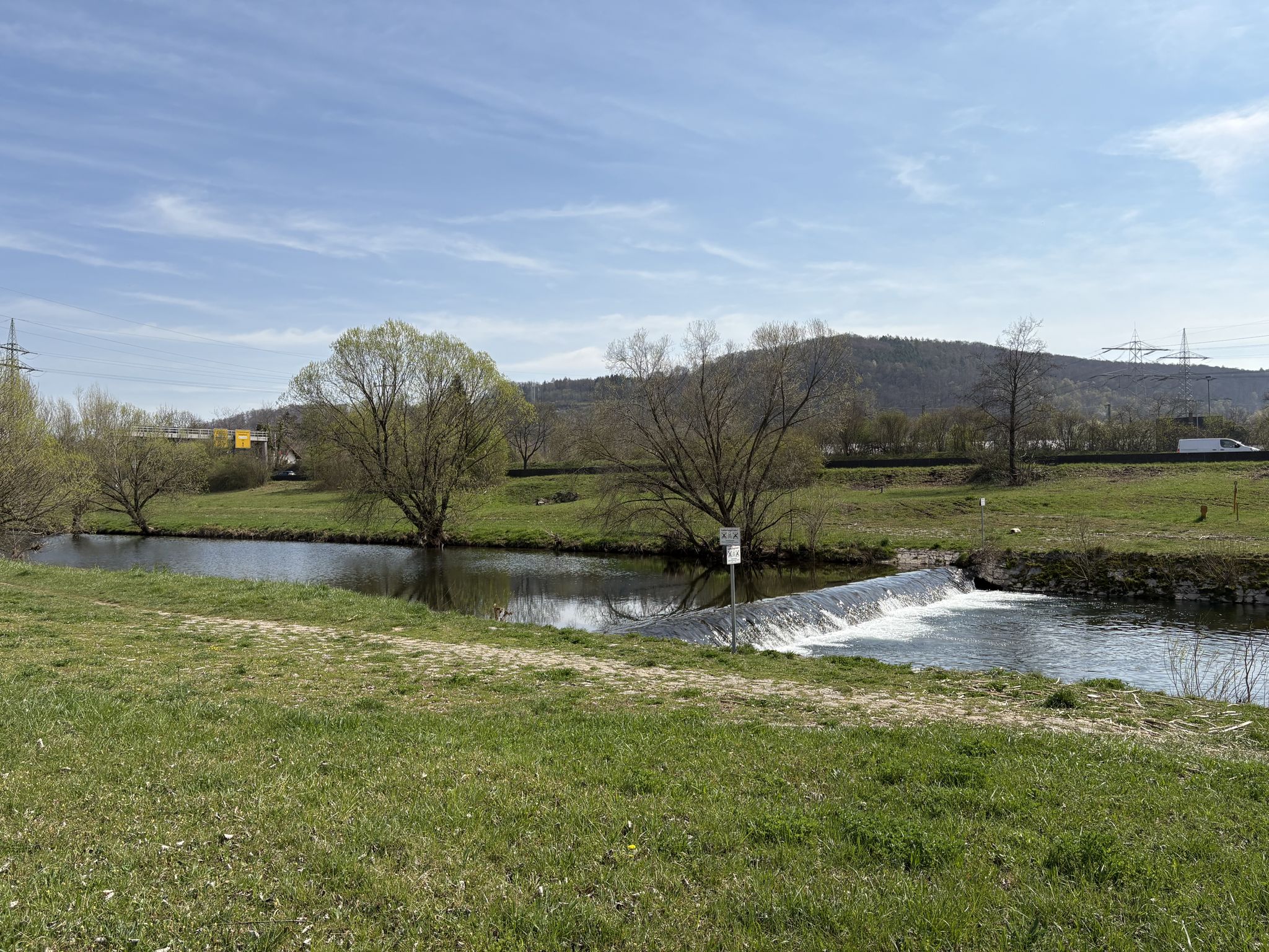 Wiese