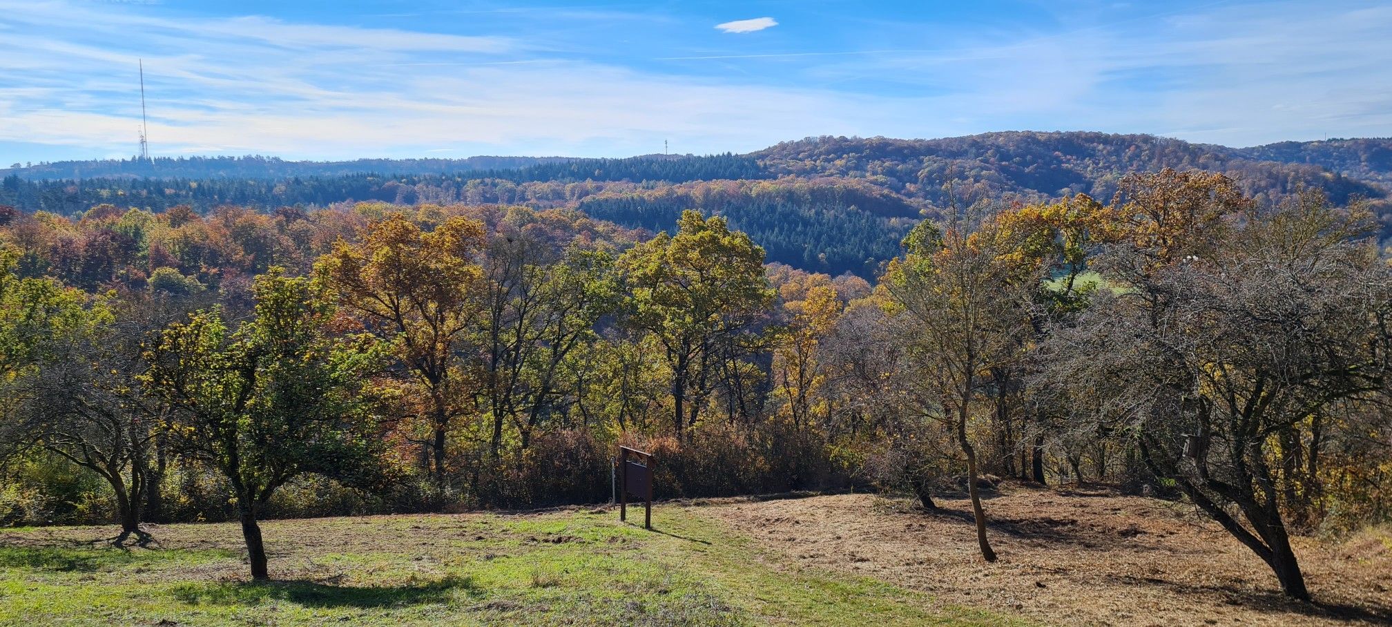 Blick zum Büttelberg
