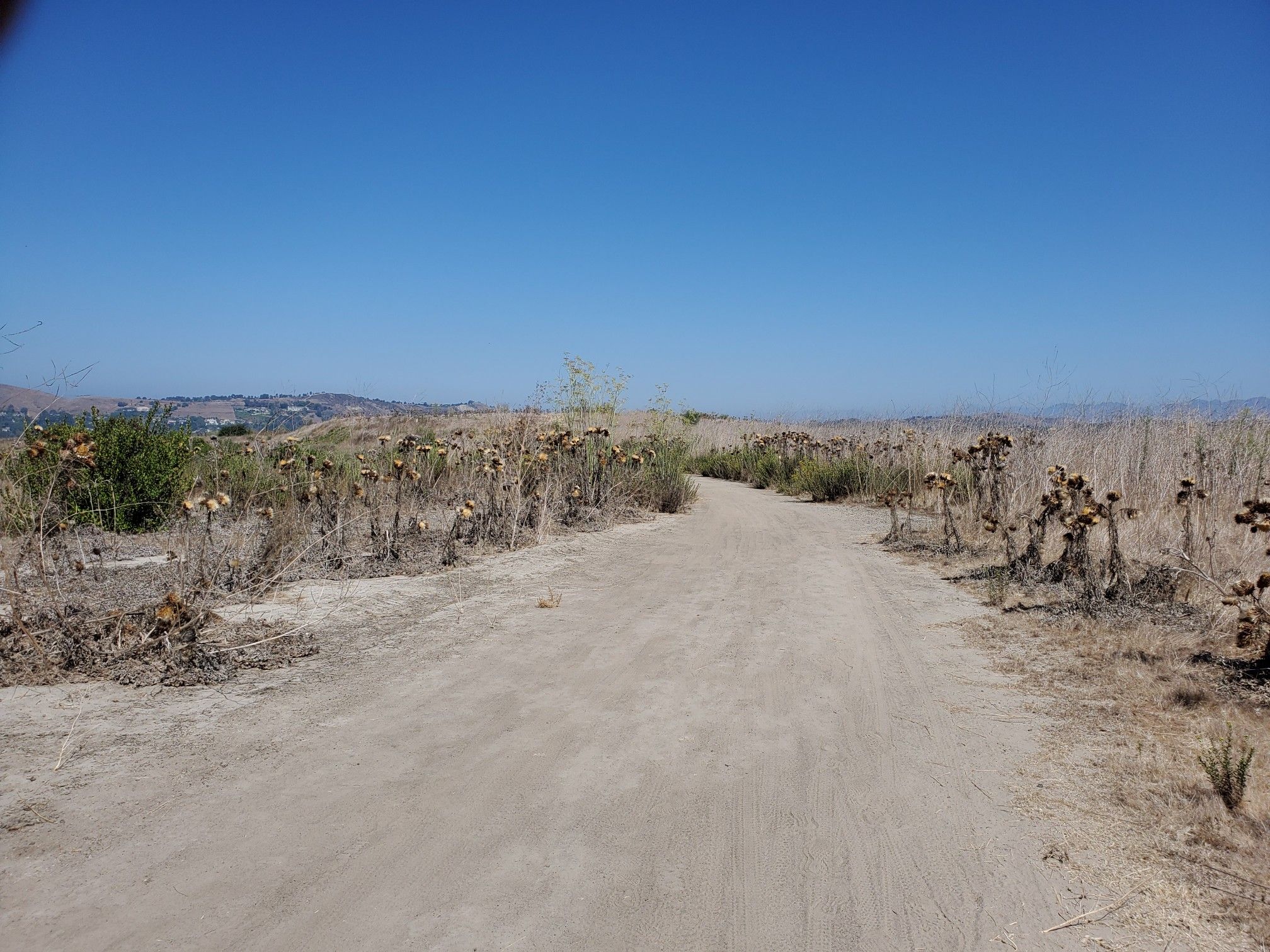 A sunny dirt path winding through dry golden fields under a clear blue sky. - San Juan Capistrano Patriot Double Loop
