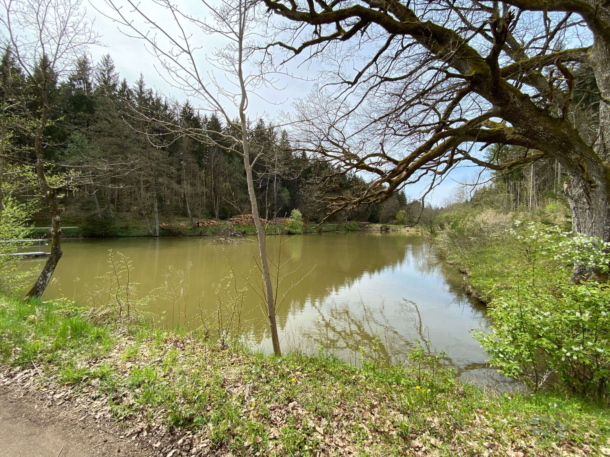 Fischweiher an der Kreuzung Untere Werkstraße/Fällriegelweg