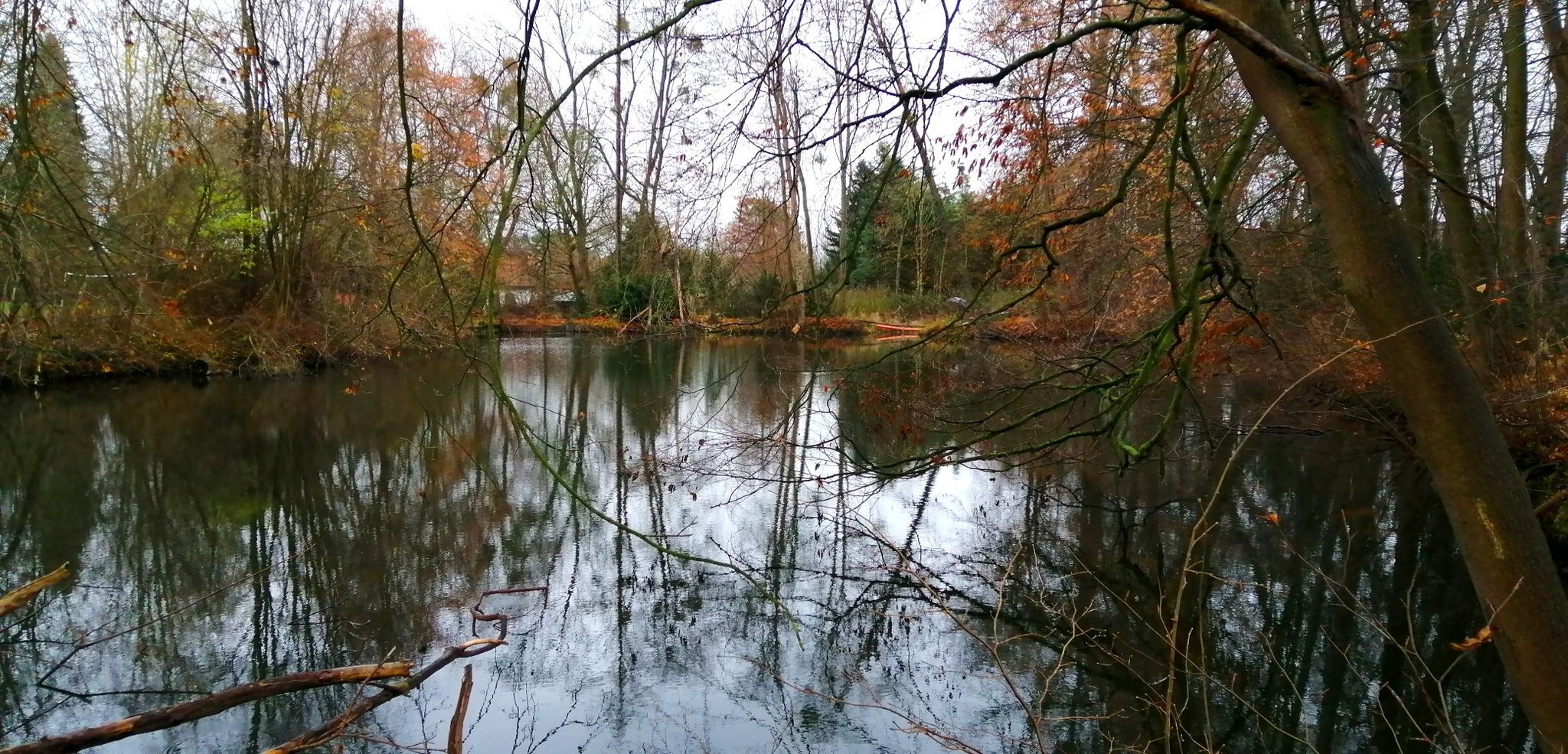 Ja, hier gibt es auch einen Teich 👍