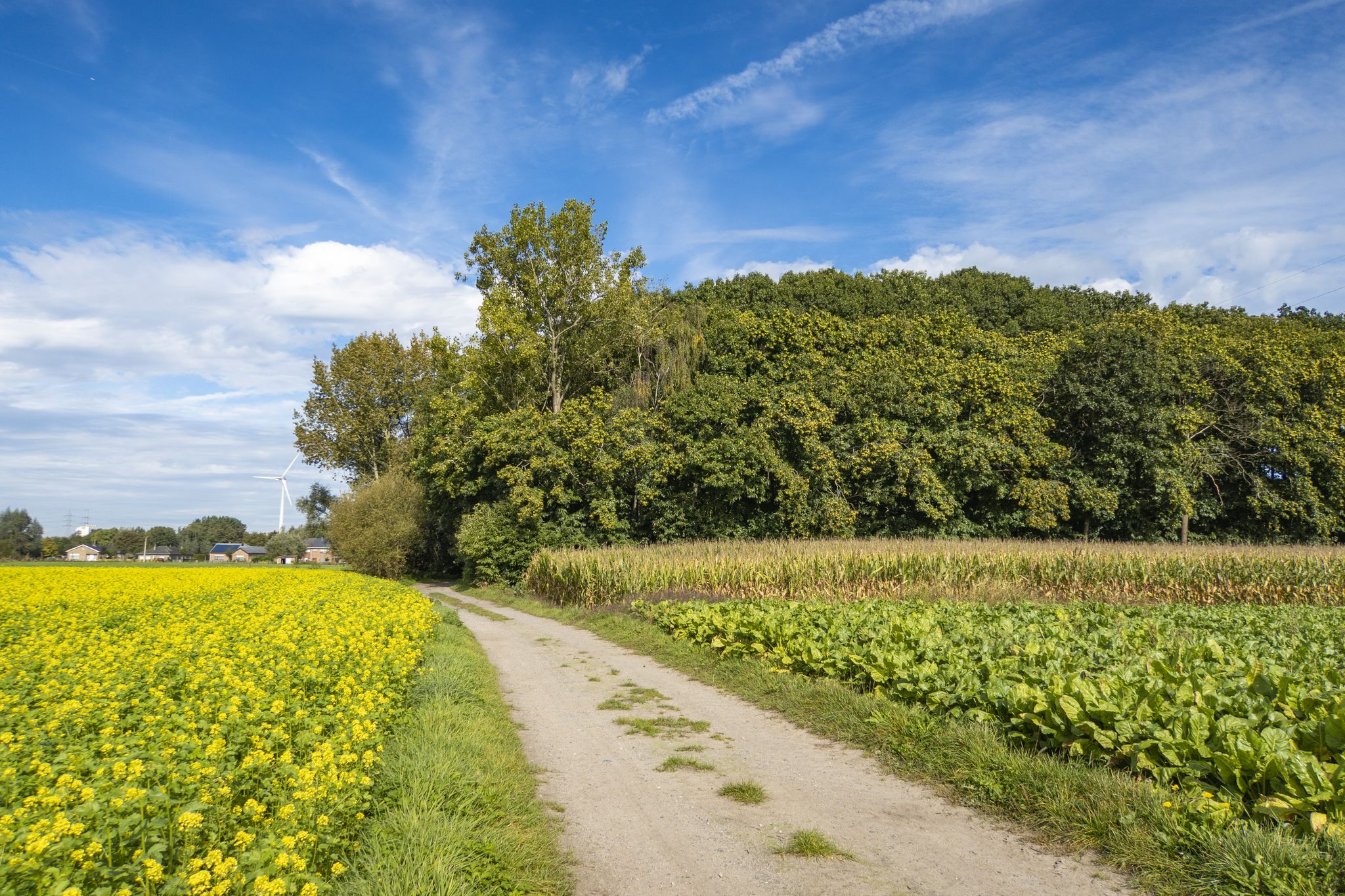 Via de Ruggenenwegel naar Huivelde