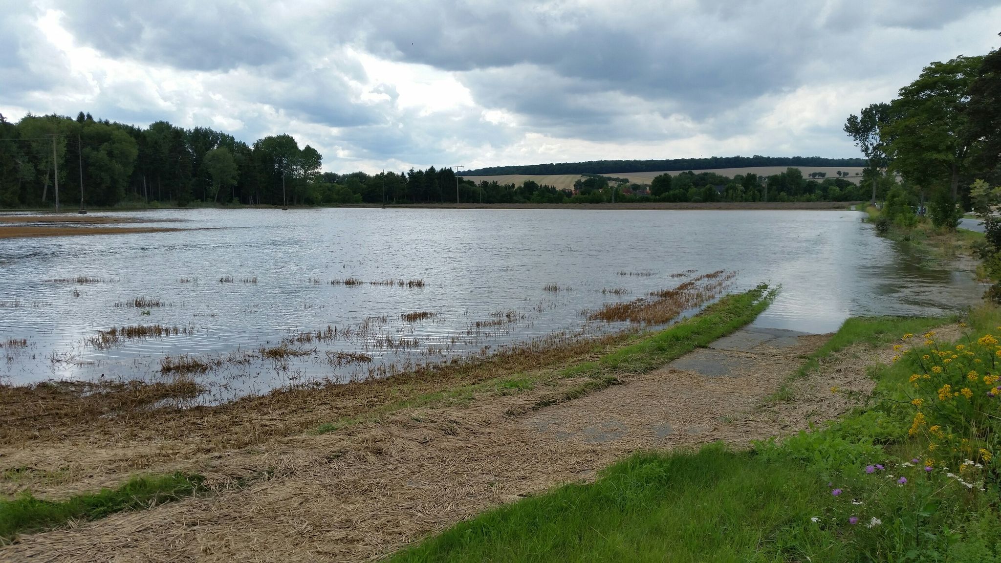 Feld nach dem großen Regen 