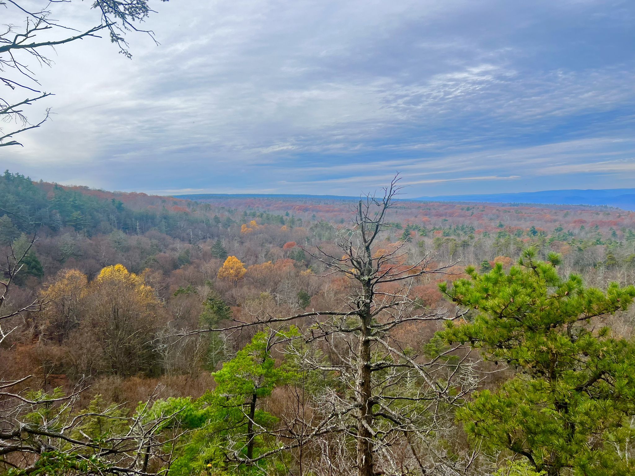 Expansive forest landscape with colorful autumn foliage under a dramatic cloudy sky. - Castle Point Carriageway, Lake Awosting Carriageway and Upper Awosting Carriageway Loop