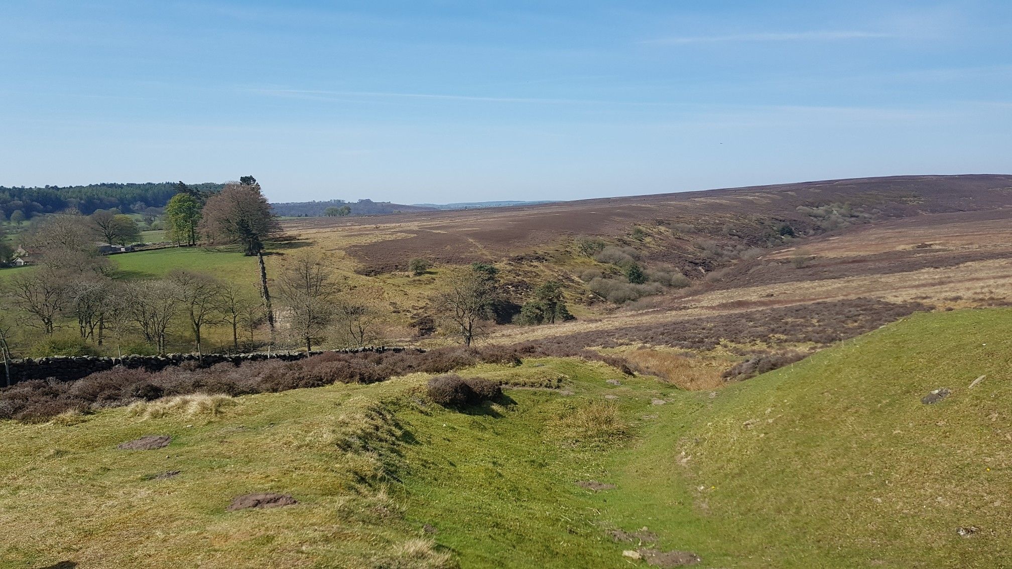 panoramic views at the top