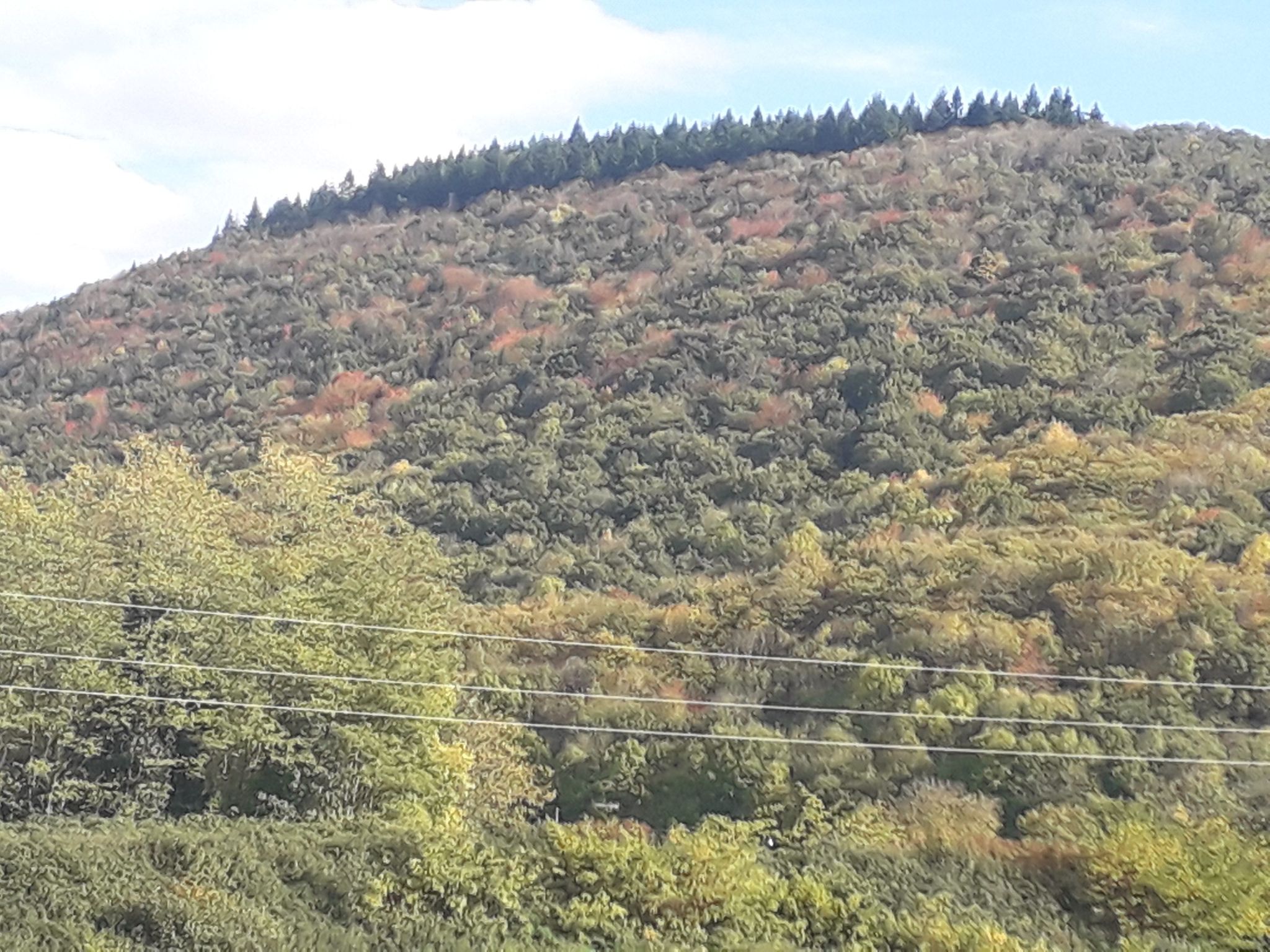 couleurs d'automne