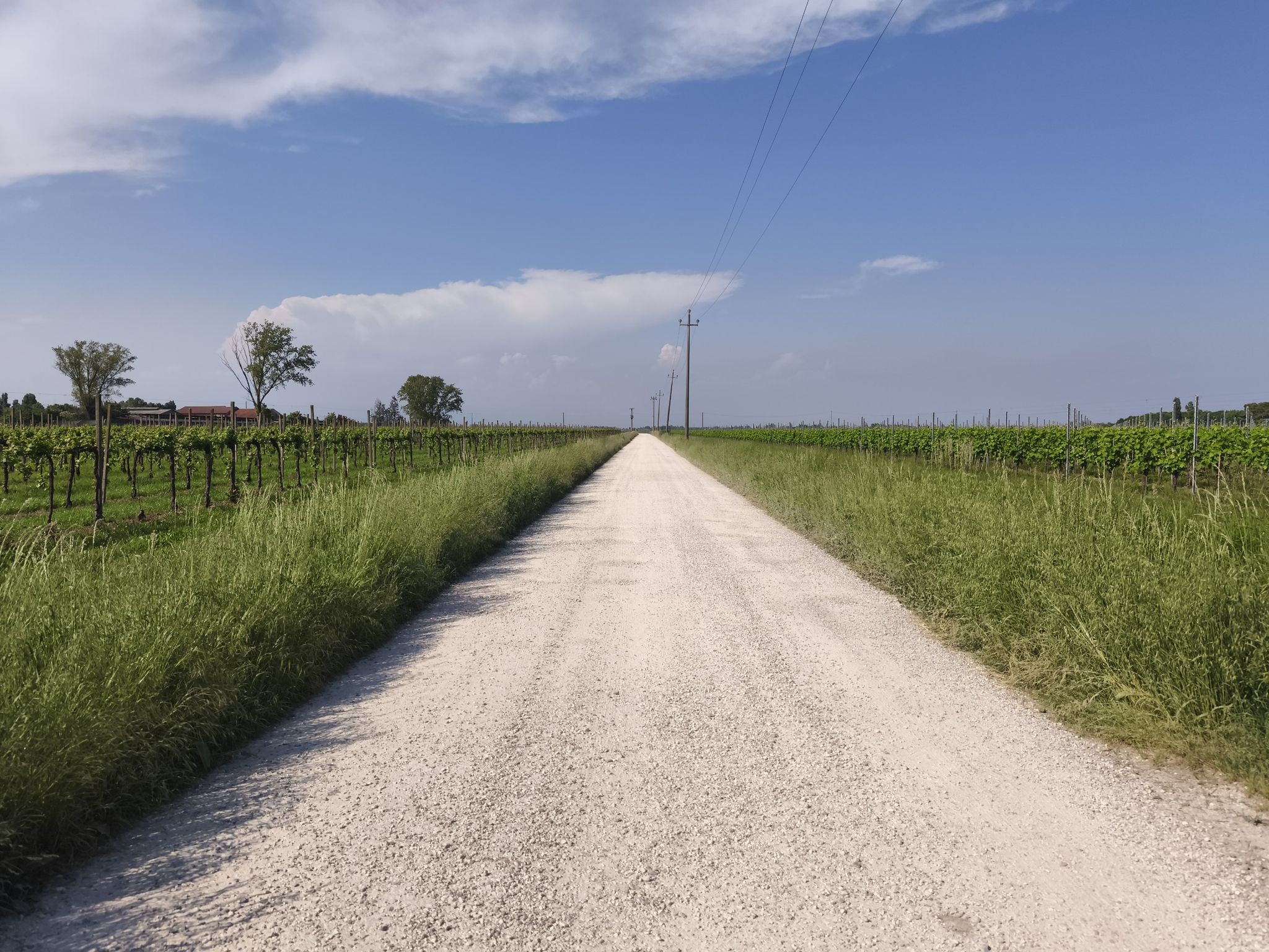 sterrati di campagna