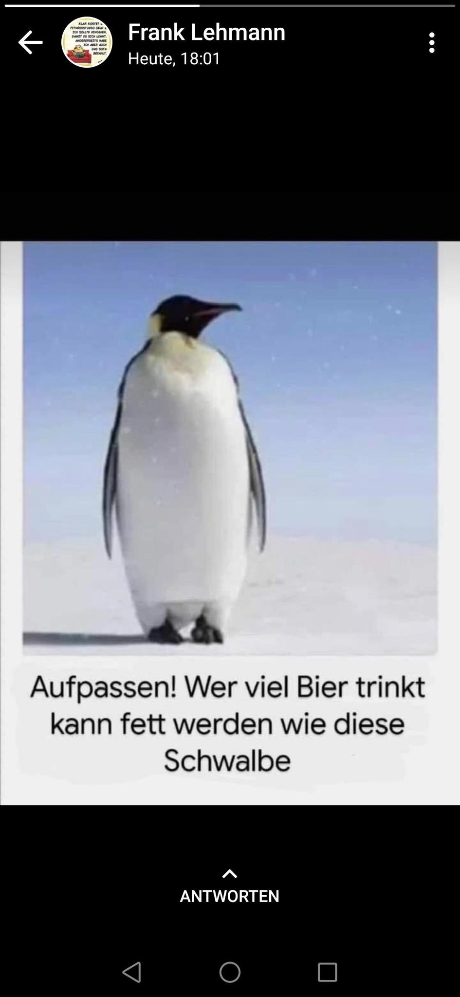 user avatar