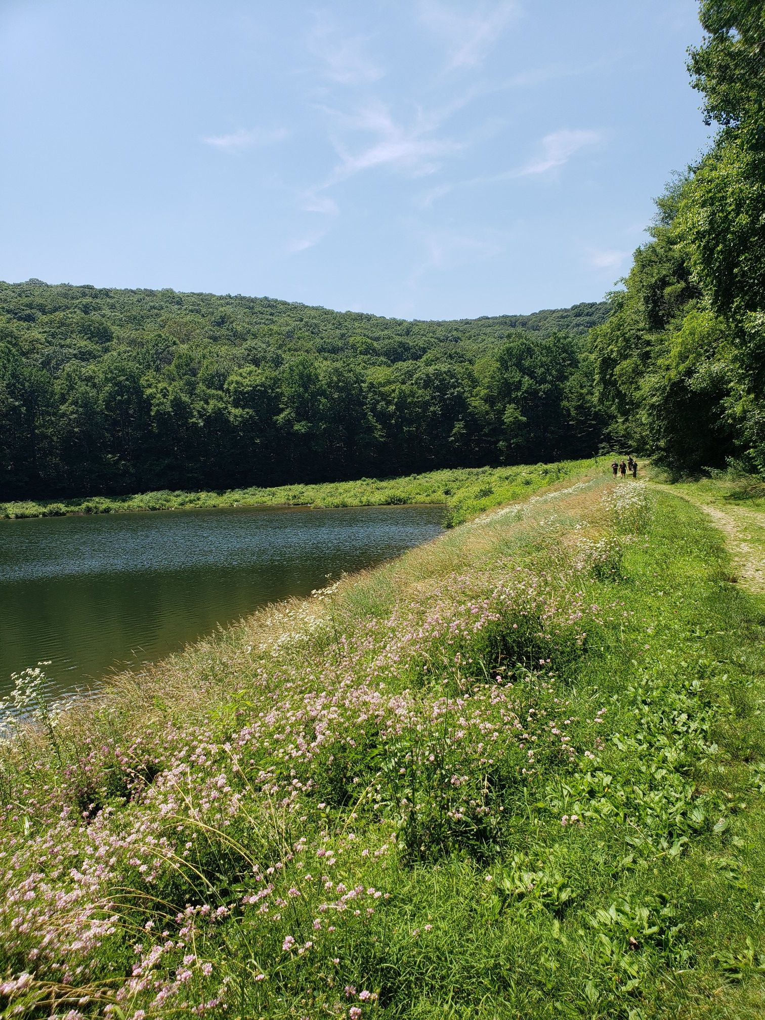 Sunny day, people walk on a grassy path beside a lake and green forest. - Pulpit Rock Loop via Furnace Creek Trail