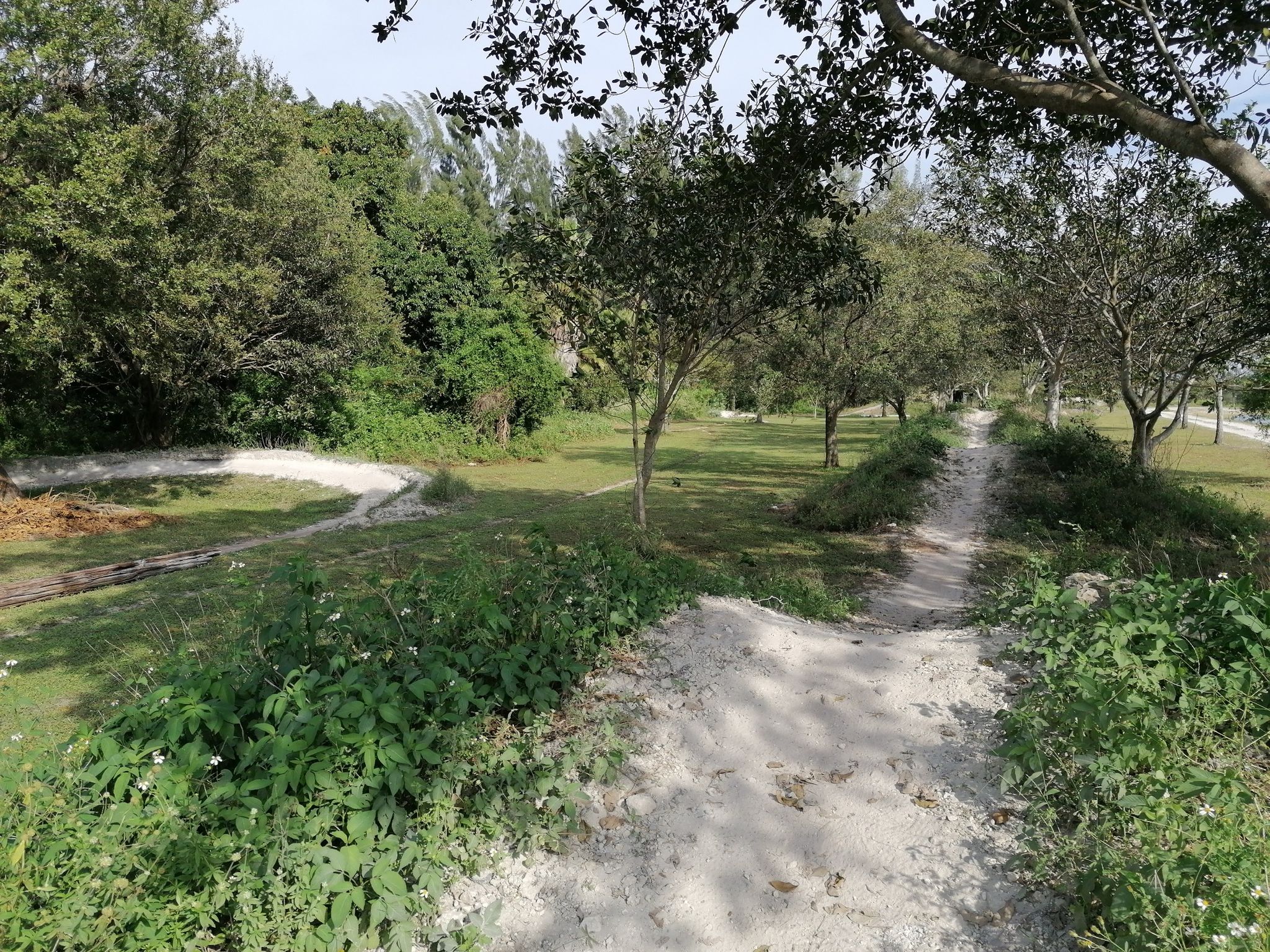mountain bike trails