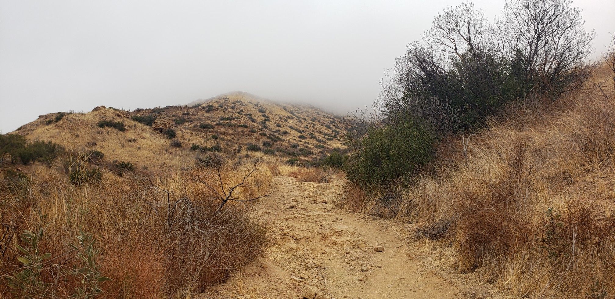 A dirt trail winds through dry, grassy hills into a misty horizon. - "Dead Cow" & "Suicide Loop"