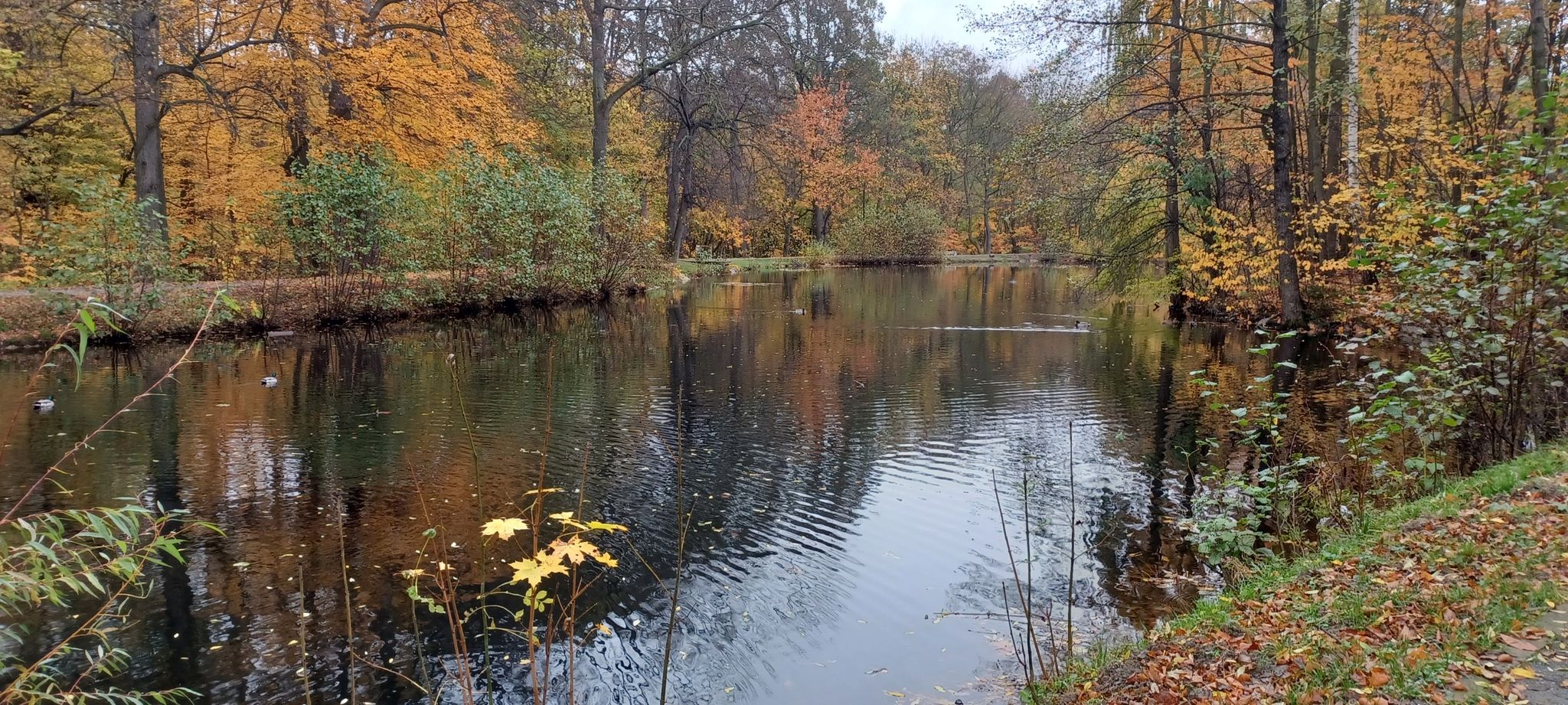 am Teich