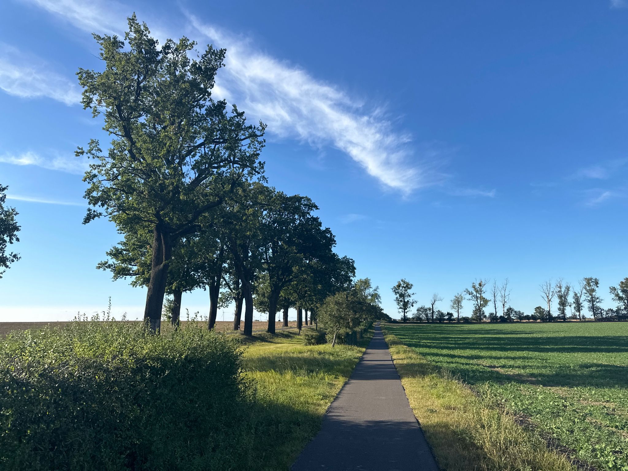 Radweg Friedersdorf-Seelow
