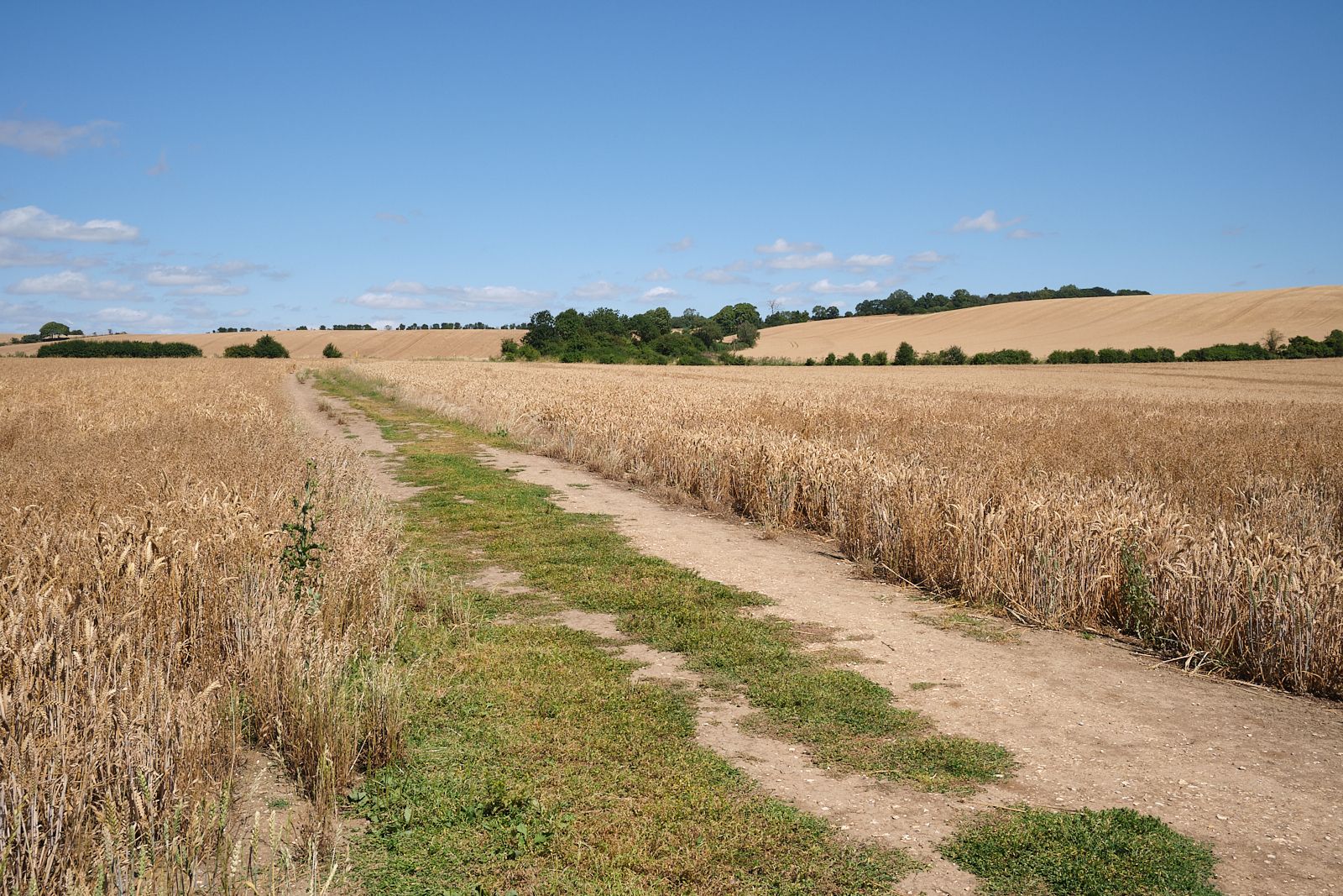 Luton to Icknield bridleway