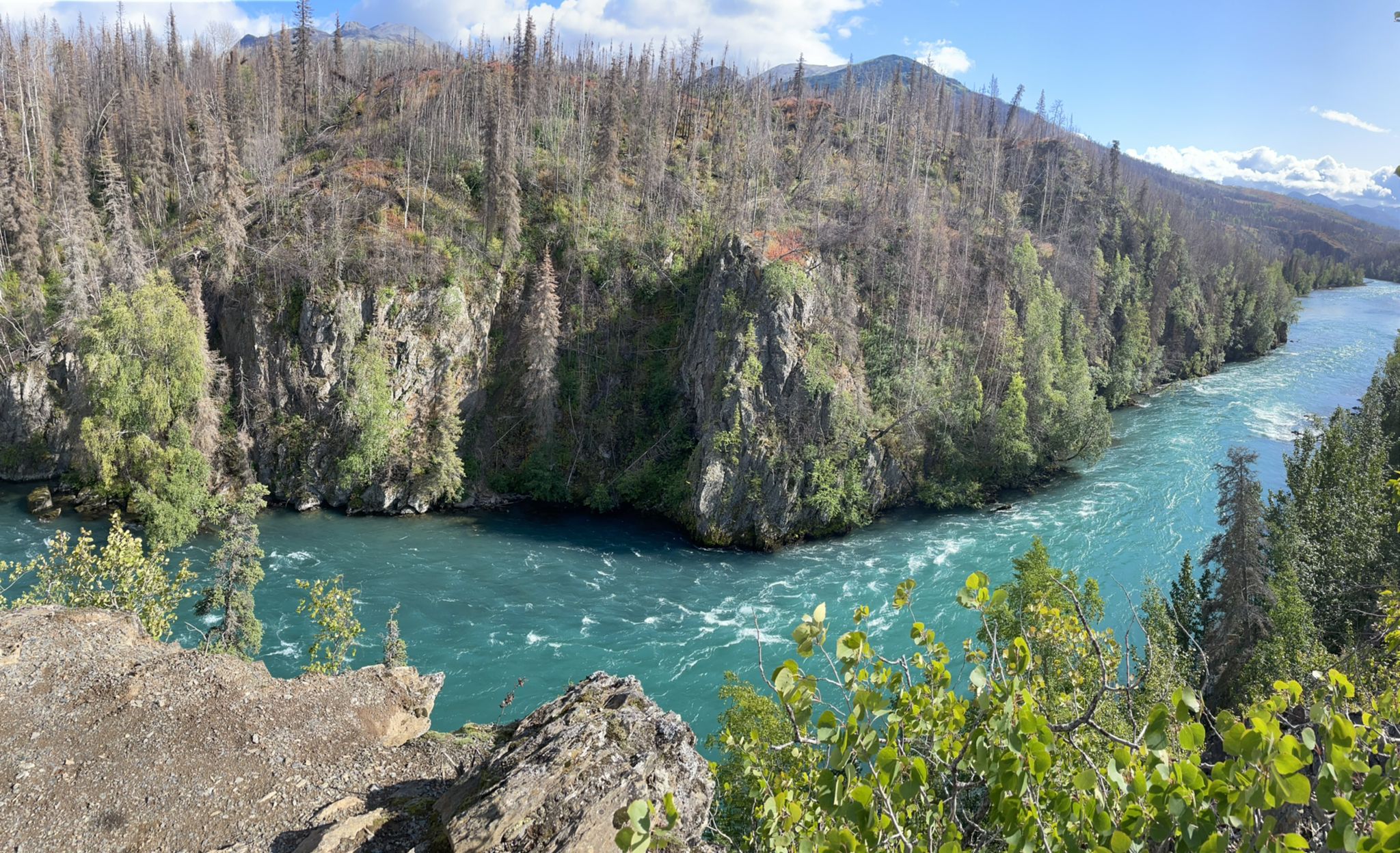 Turquoise river flows through a deep canyon with green and burnt trees. - Kenai River and Hideout Trail Loop
