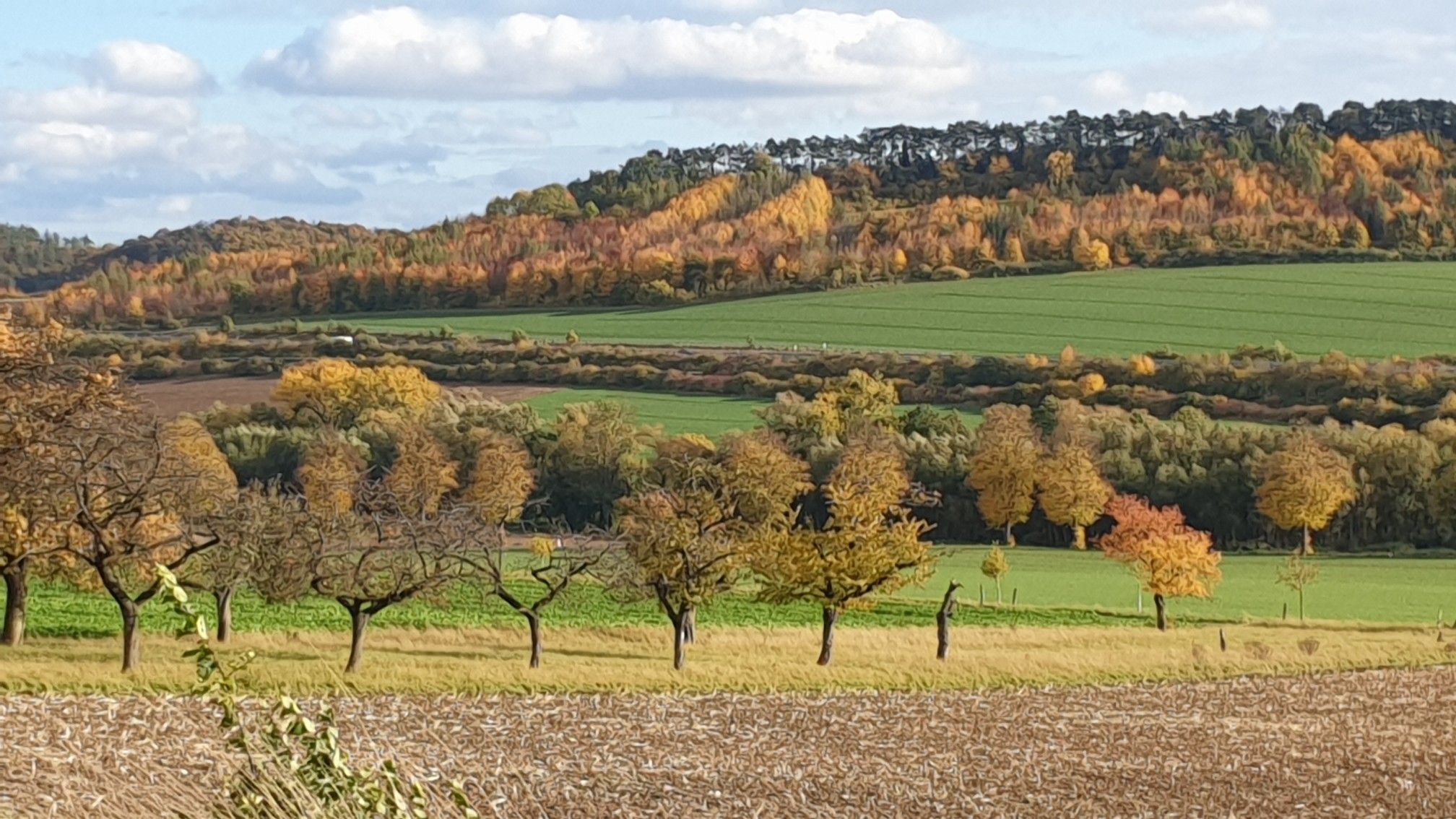 Blick in Richtung Autobahn auf den Weg der Geschichte