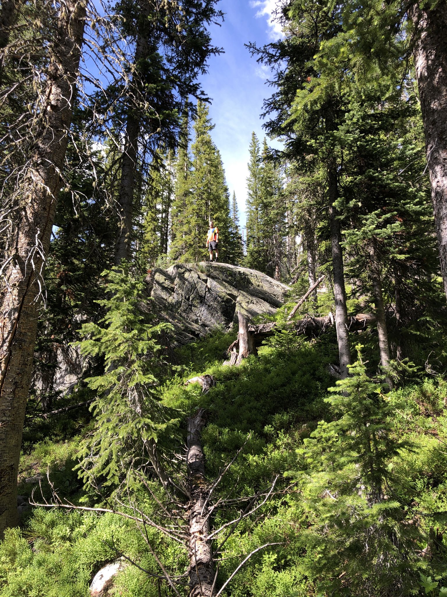 Person standing on a large rock amidst tall pine trees. - Gold Creek Lake Trail