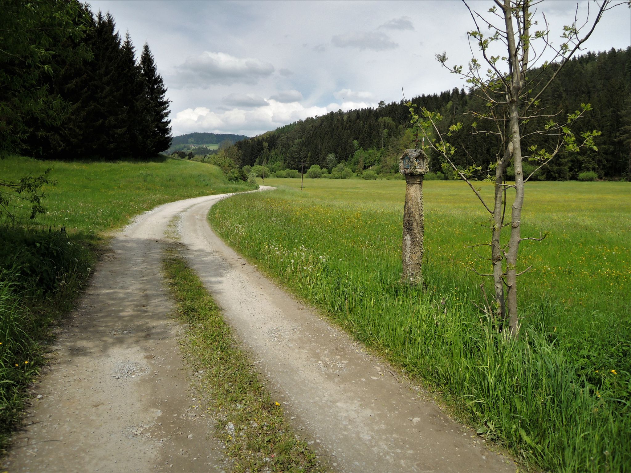 Ein schöner Weg abseits der Straße .... herrlich zu befahren!