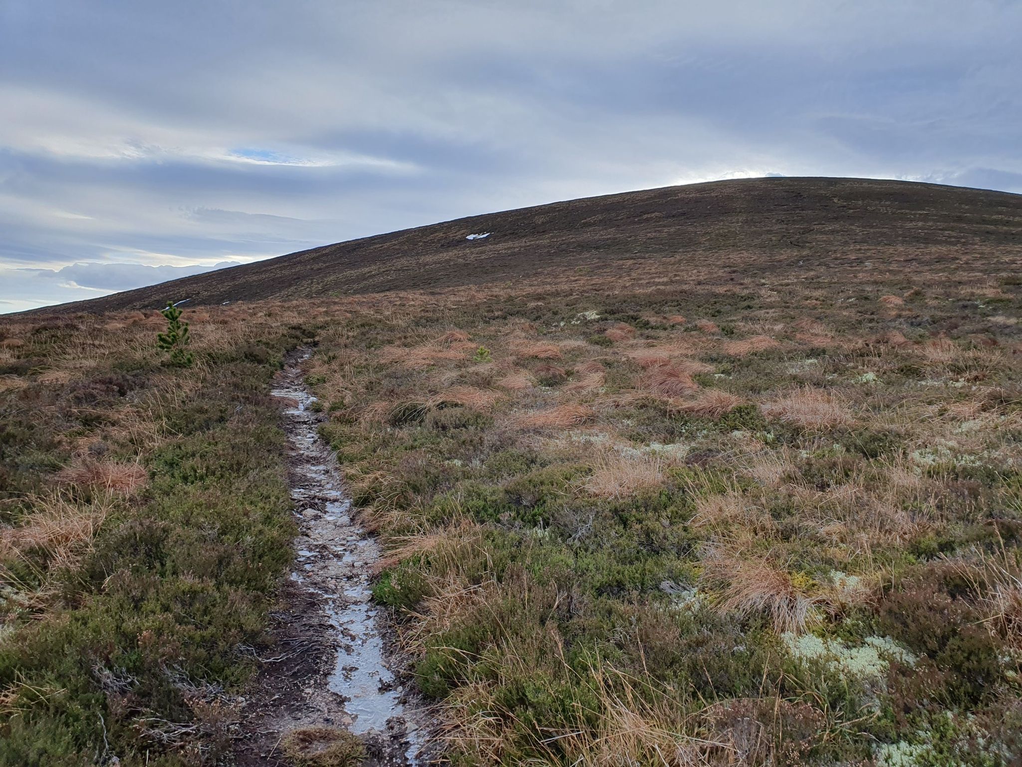 The track up Meikle Conval