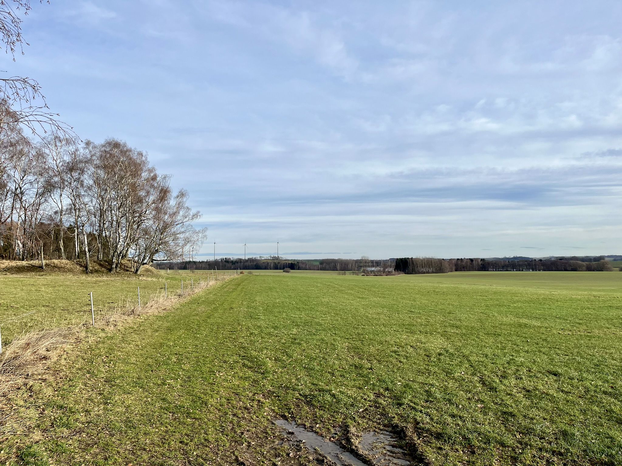 Blick auf das Zuger Revier -> im Hintergrund der Große Hüttenteich