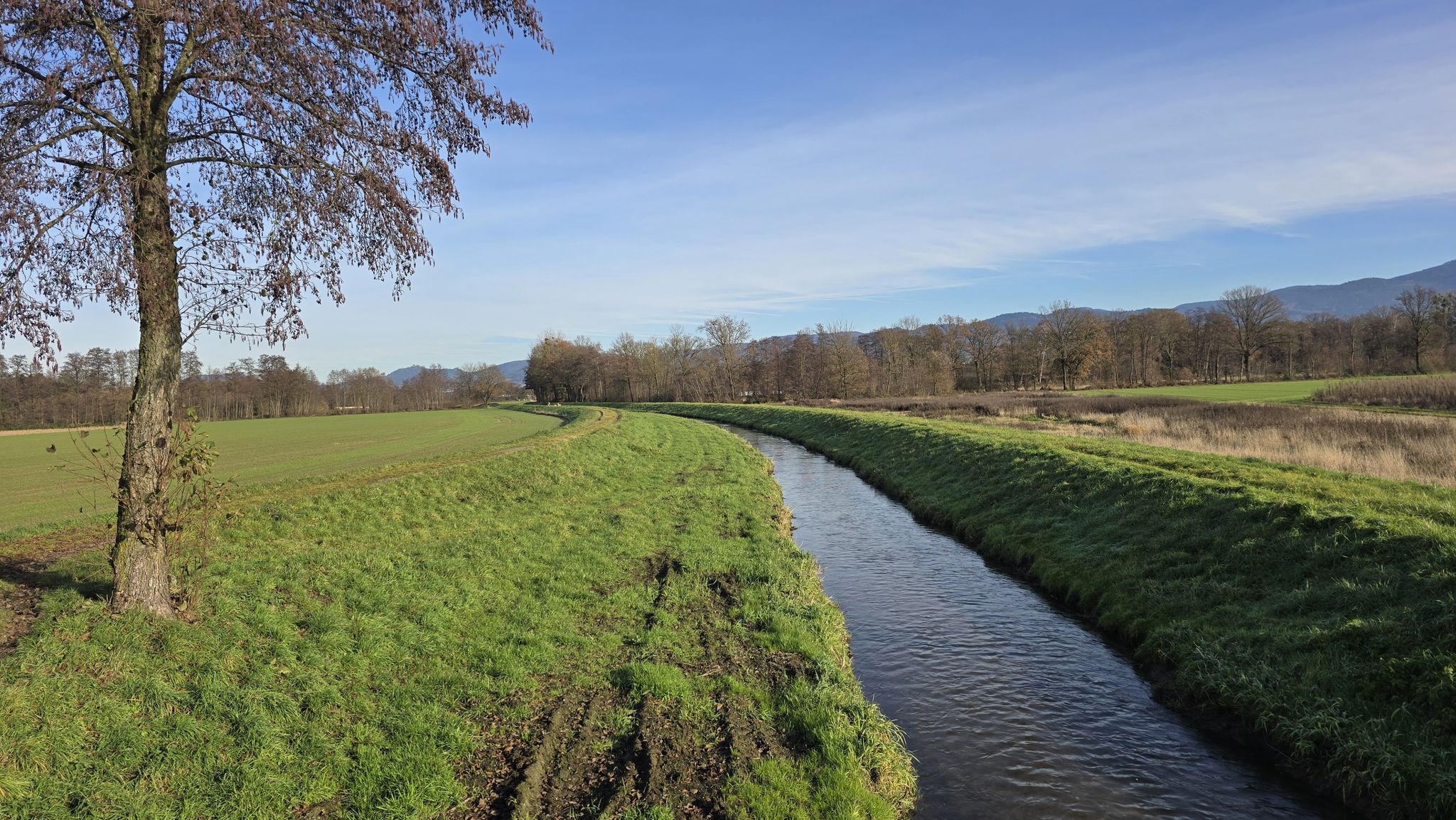 Sasbach-Flutkanal