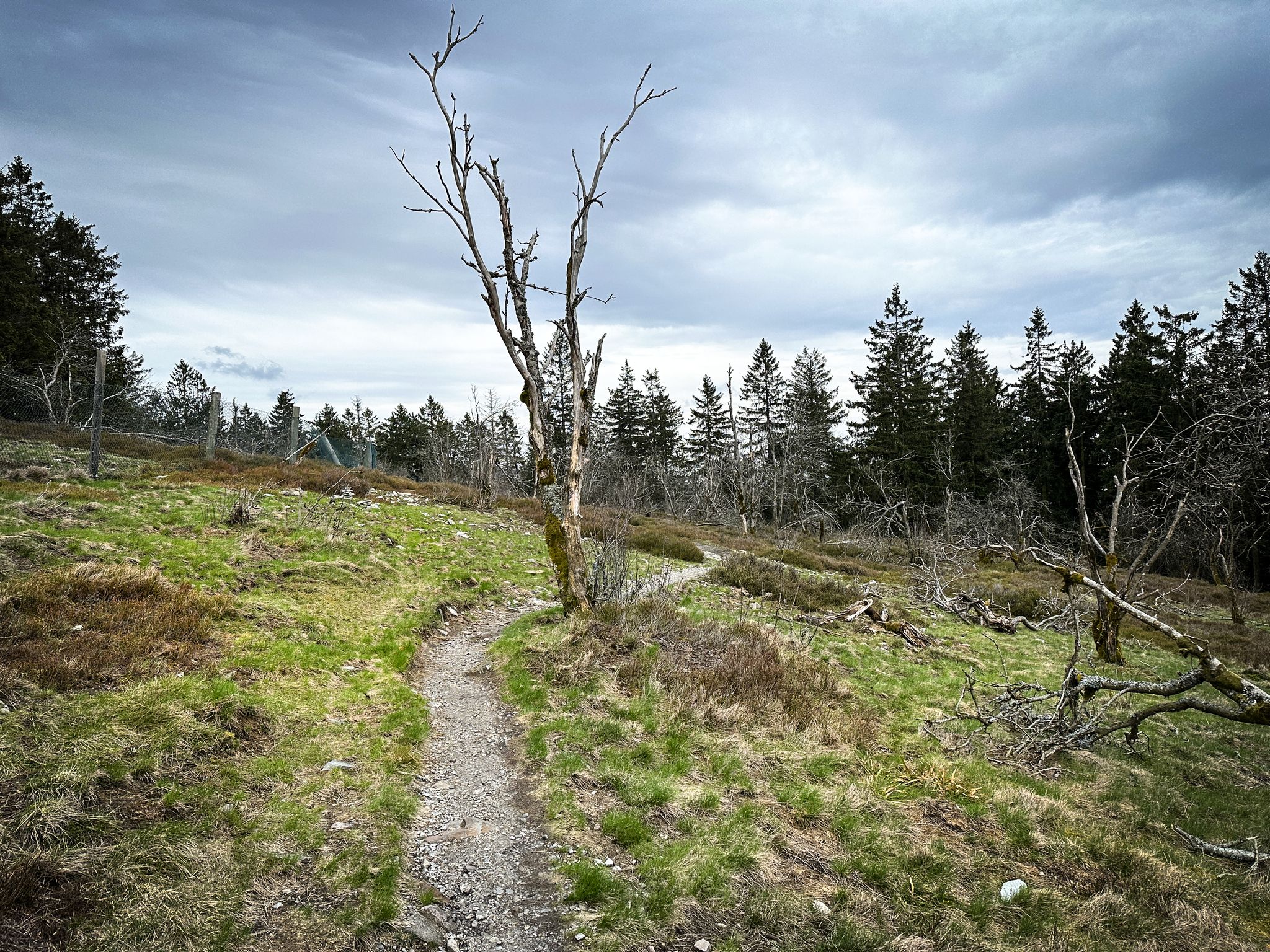 Summit 2: Kleiner Feldberg